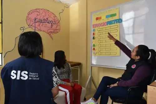 Más de 10 mil atenciones en salud mental financió el SIS en Apurímac.