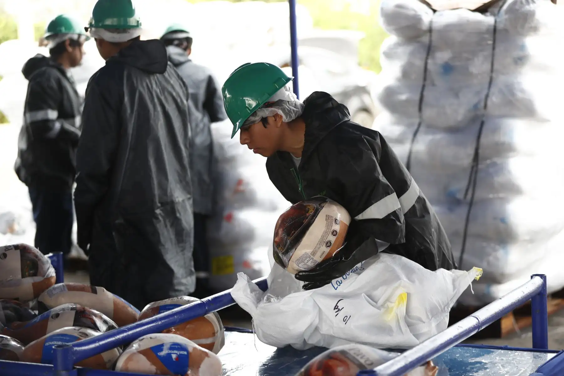 Desde tempranas horas de la mañana, decenas de personas llegaron hasta una de las explanadas de la Universidad San Marcos a canjear o comprar sus pavos para las cena navideña y de Año Nuevo, a la Paviferia organizada por San Fernando. Foto: ANDINA/Daniel Bracamonte