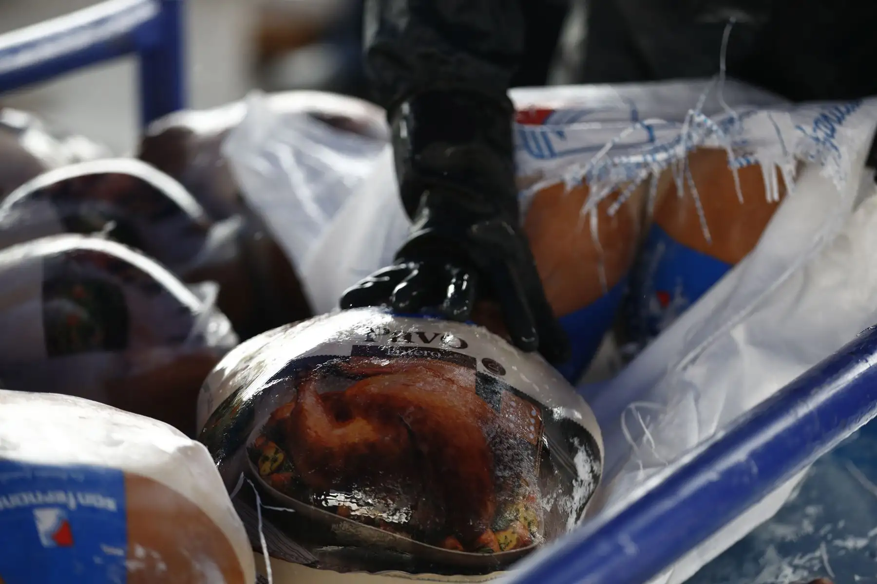En la Paviferia realizada en una de las explanadas de la Universidad San Marcos, cerca al estadio, por motivo de las fiestas de Navidad y Año Nuevo, se ofrecen pavos desde 6 hasta 10 kg. Foto: ANDINA/Daniel Bracamonte
