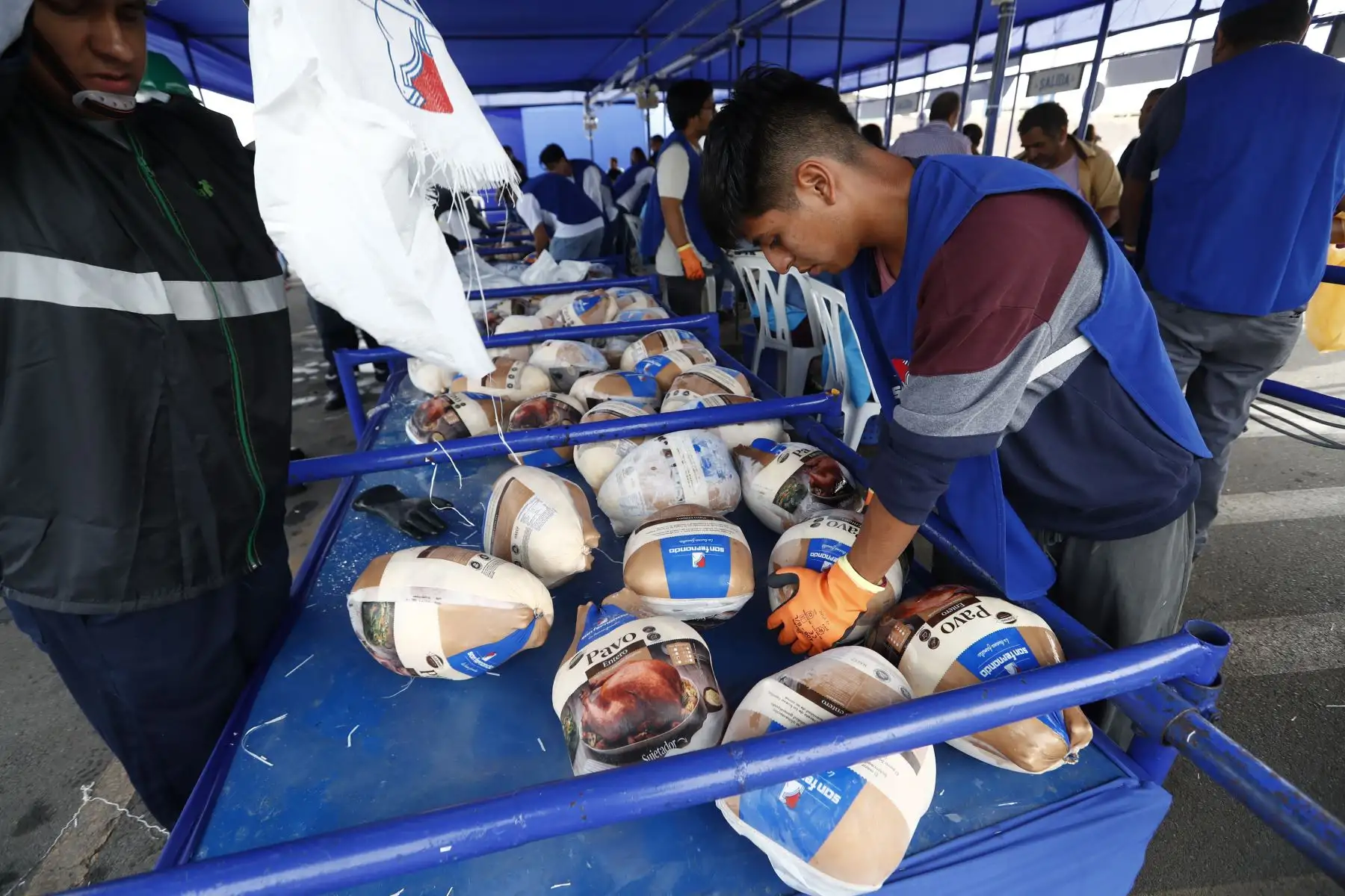 En la Paviferia realizada en una de las explanadas de la Universidad San Marcos, cerca al estadio, por motivo de las fiestas de Navidad y Año Nuevo, se ofrecen pavos desde 6 hasta 10 kg. Foto: ANDINA/Daniel Bracamonte