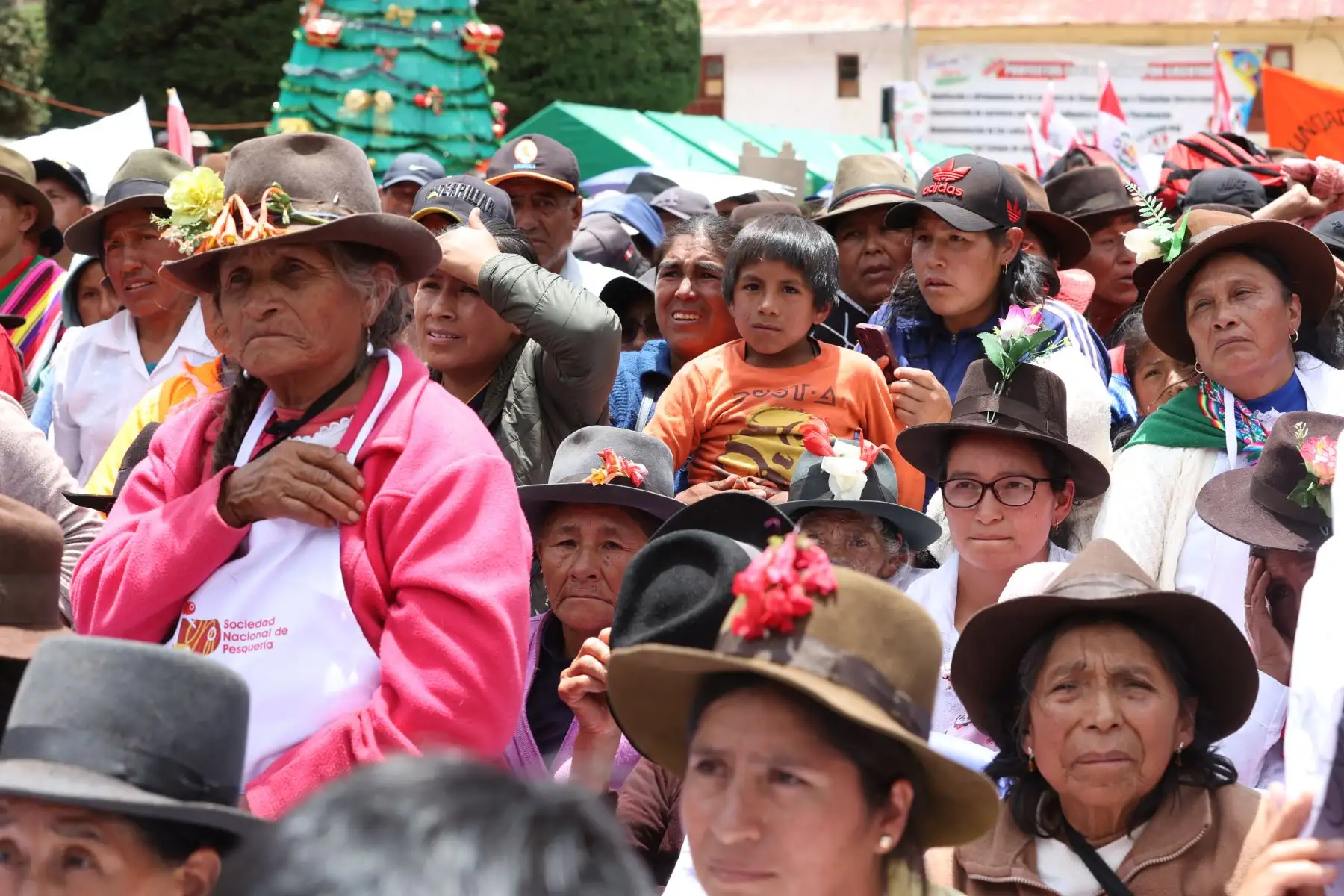 La mandataria llevó una campaña médica, distribuyó más de una tonelada de pescado para la población, entregó un vehículo para los bomberos de la zona y repartió regalos a las niñas y niños de Chalhuanca.
Foto: ANDINA/Prensa Presidencia