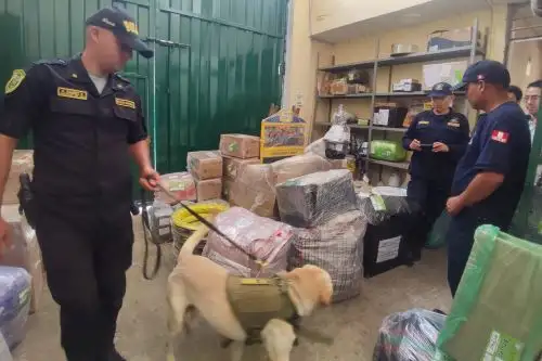 Las autoridades intensifican los operativos para frenar el comercio ilegal de productos pirotécnicos. Foto: ANDINA/Difusión