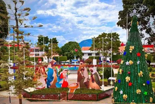 La plaza de Armas de Moyobamba, localidad conocida como la “Ciudad de las Orquídeas” y capital de la región San Martín, alberga al pesebre más alto de todo el Perú