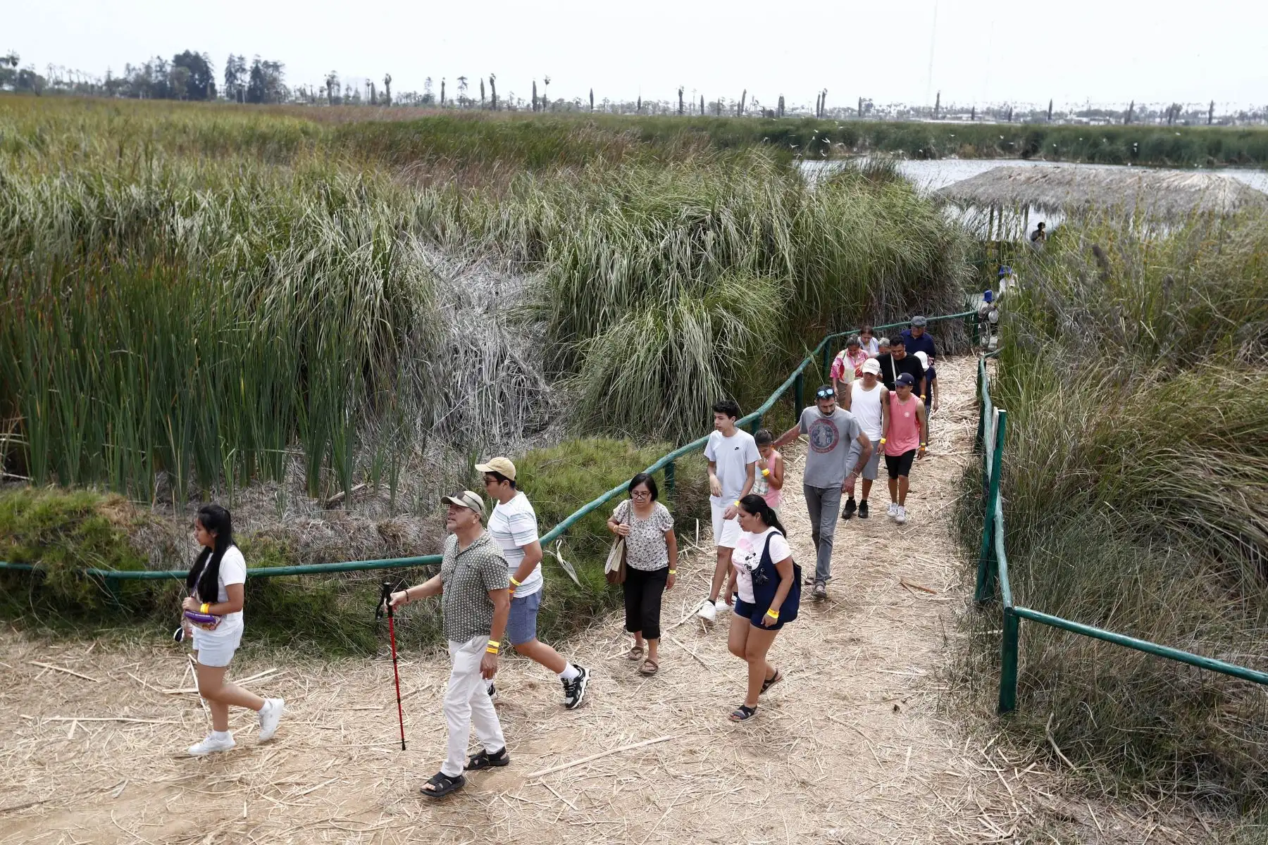 Decenas de turistas nacionales y extranjeros aprovecharon el feriado del lunes 25 de diciembre por Navidad para visitar los Pantanos de Villa en el distrito de Chorrillos. Foto: ANDINA/Daniel Bracamonte