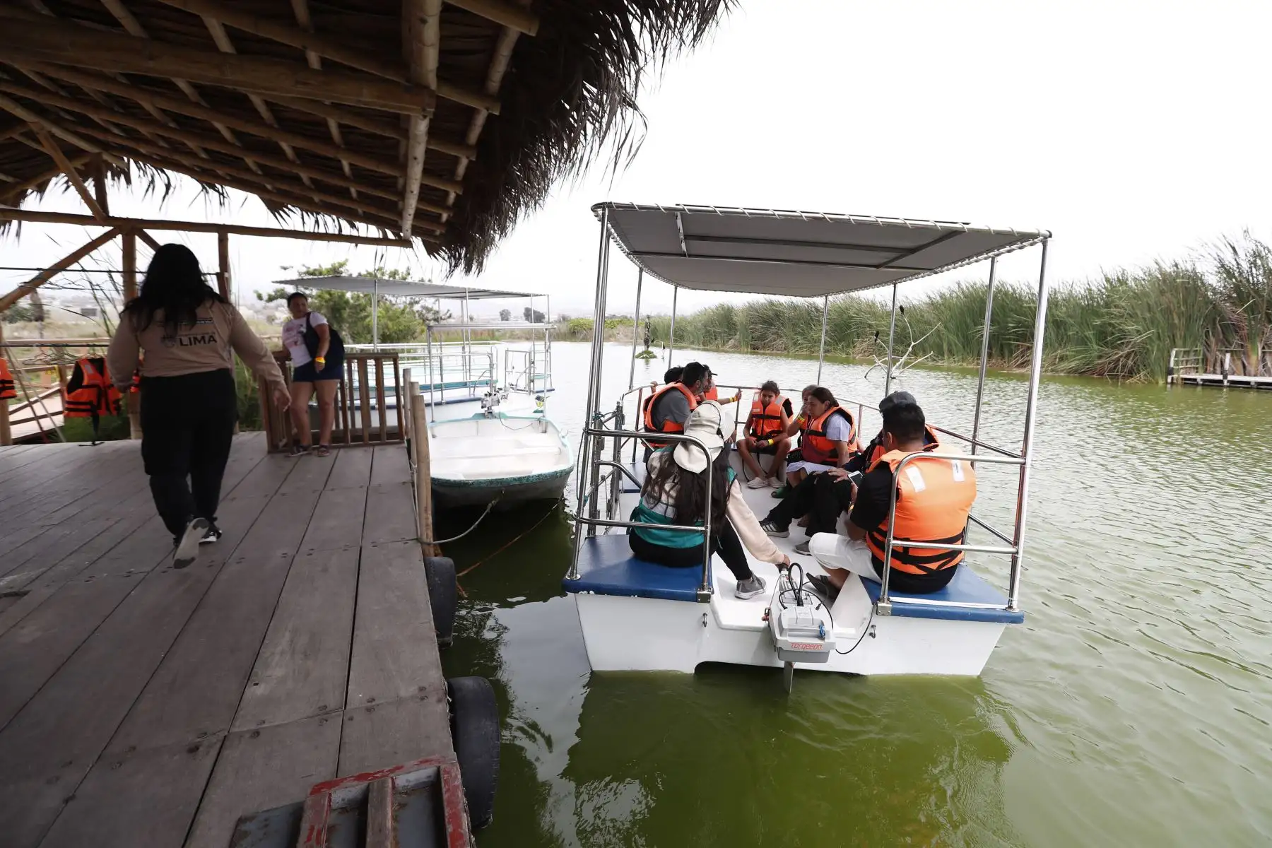 Los Pantanos de Villa de Chorrillos recibió el día de Navidad, 25 de diciembre, a decenas de turistas nacionales y extranjeros, quienes recorrieron el área de conservación con un guía, y además pudieron tomar un paseo en catamarán. Foto: ANDINA/Daniel Bracamonte