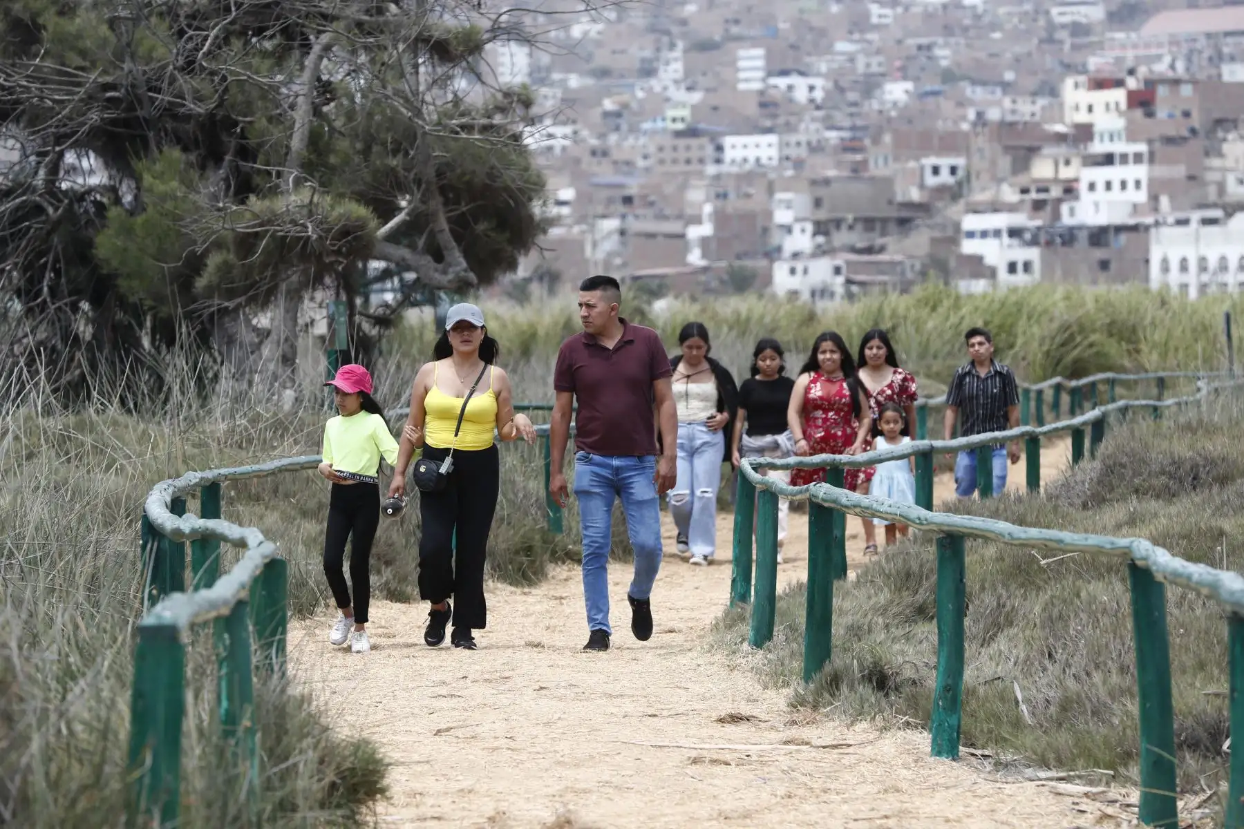Decenas de turistas nacionales y extranjeros aprovecharon el feriado del lunes 25 de diciembre por Navidad para visitar los Pantanos de Villa en el distrito de Chorrillos. Foto: ANDINA/Daniel Bracamonte