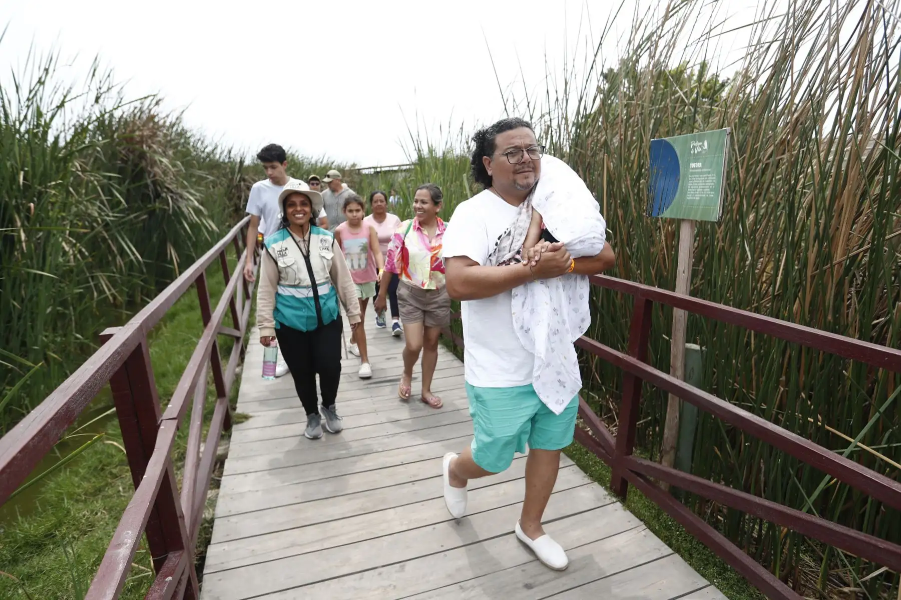 Los Pantanos de Villa de Chorrillos recibió el día de Navidad, 25 de diciembre, a decenas de turistas nacionales y extranjeros, quienes recorrieron el área de conservación con un guía, y además pudieron tomar un paseo en catamarán. Foto: ANDINA/Daniel Bracamonte