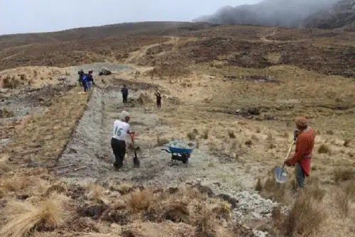 Para la segunda fase del proyecto (año 2024) se ha previsto el monitoreo ambiental de los ecosistemas y la biodiversidad en la región Junín. Foto:.ANDINA/Difusión