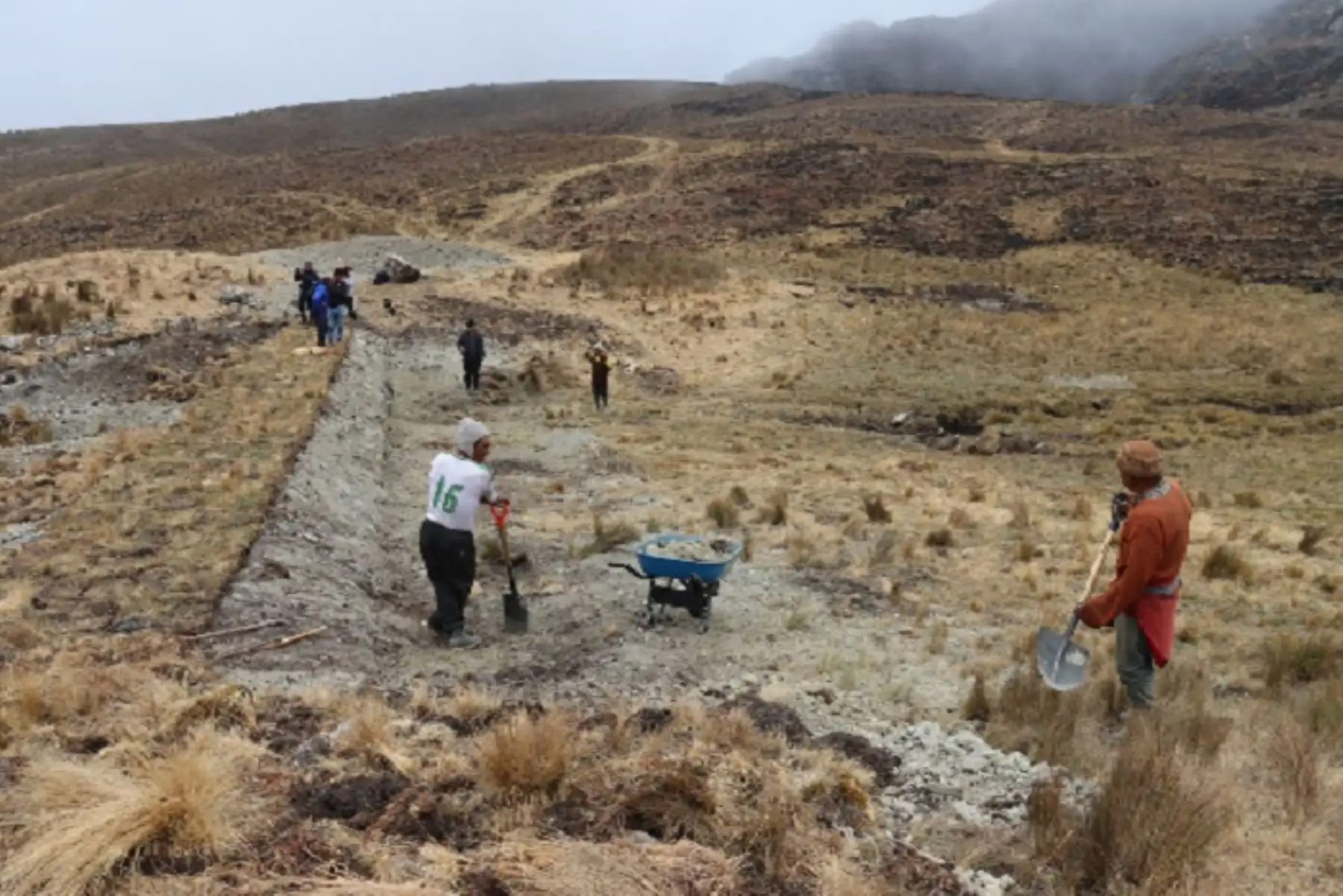 Para la segunda fase del proyecto (año 2024) se ha previsto el monitoreo ambiental de los ecosistemas y la biodiversidad en la región Junín. Foto:.ANDINA/Difusión