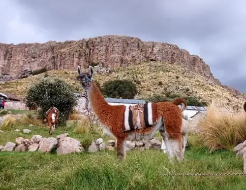El centro poblado Ayrumas Carumas, región Puno, ofrece a los viajeros la experiencia de vivir el turismo comunitario y de aventura.