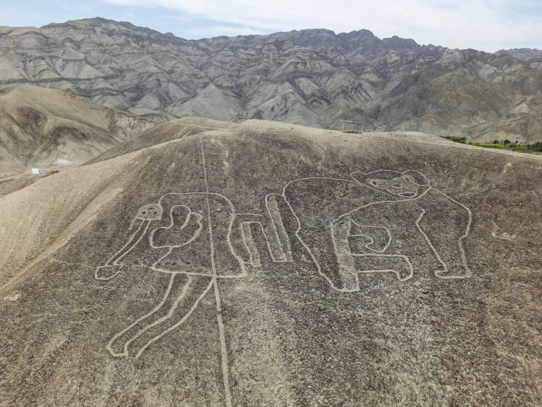 El mono y la danzante son dos de los impresionantes geoglifos hallados en la provincia de Palpa, región Ica, y es uno de los atractivos turísticos de esta jurisdicción que celebra sus 60 años de creación política. Foto: Genry Bautista
