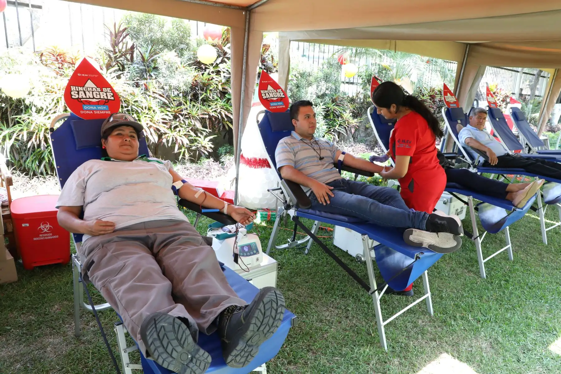 Durante el mes de diciembre se espera recolectar aproximadamente 35,000 unidades de sangre para abastecer de manera oportuna todos los bancos a nivel nacional durante las fiestas de fin de año, informó el director de Donaciones, Trasplantes y Banco de Sangre del Ministerio de Salud (Minsa)
Foto: Minsa
