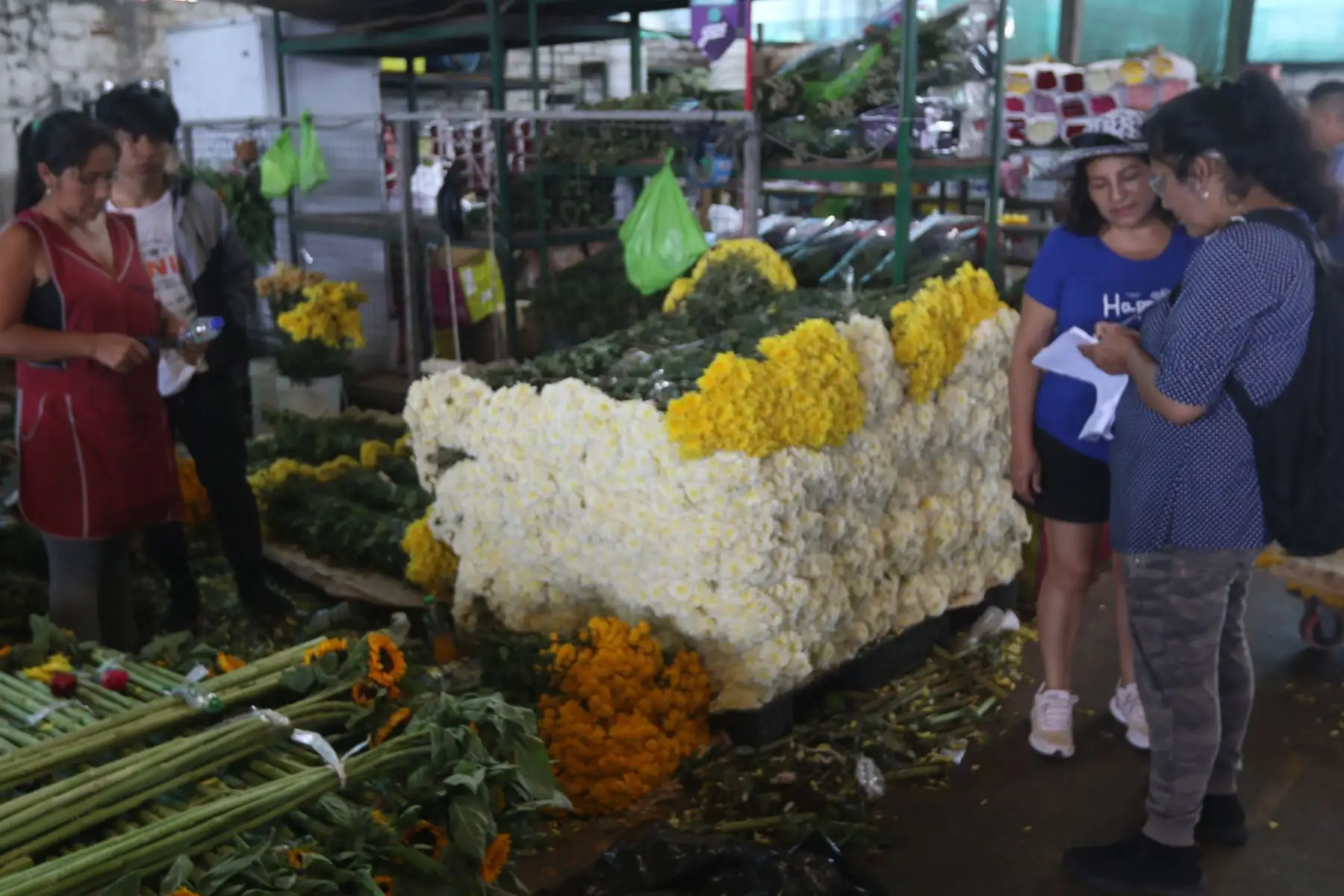 Si desea recibir el 2023 llamando a la buena suerte a la medianoche puede acercarse al mercado de flores Santa Rosa.
FOTO:ANDINA/Hector Vinces.
