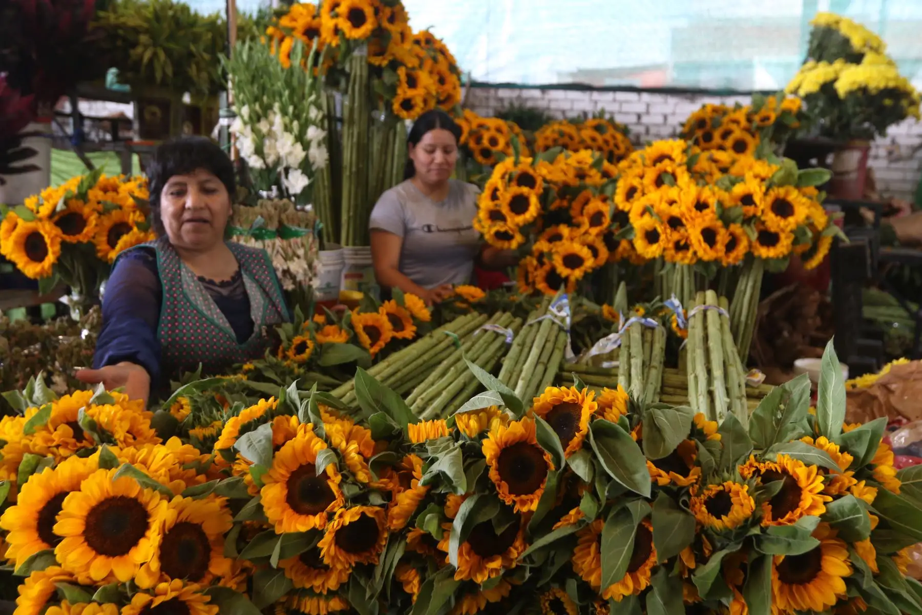 Hermosos ramos de rosas, lirios, claveles, crisantemos y girasoles sobresalen en cada puesto de venta, llamando la atención de los compradores que se acercan a adquirirlas. FOTO:ANDINA/Hector Vinces.