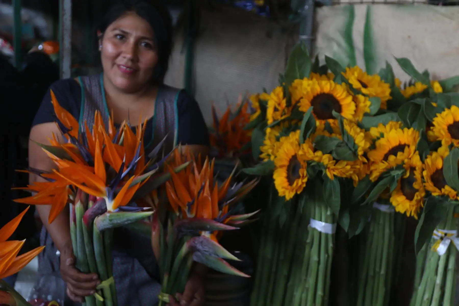 Las vendedoras recuerdan a quienes preguntan por los precios que estos dependen del tipo de compra, si es al por mayor o menor. 
FOTO:ANDINA/Hector Vinces.