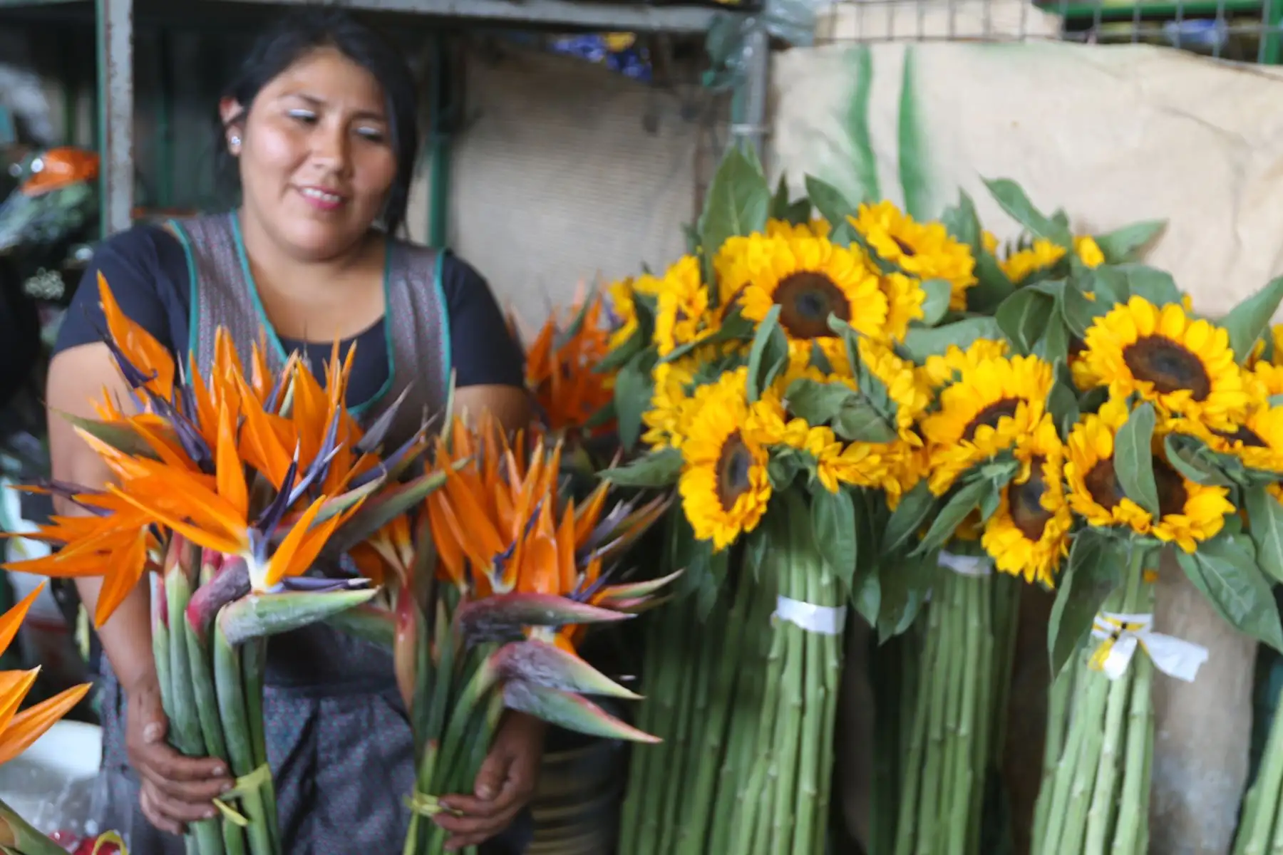 Hermosos ramos de rosas, lirios, claveles, crisantemos y girasoles sobresalen en cada puesto de venta, llamando la atención de los compradores que se acercan a adquirirlas. FOTO:ANDINA/Hector Vinces.