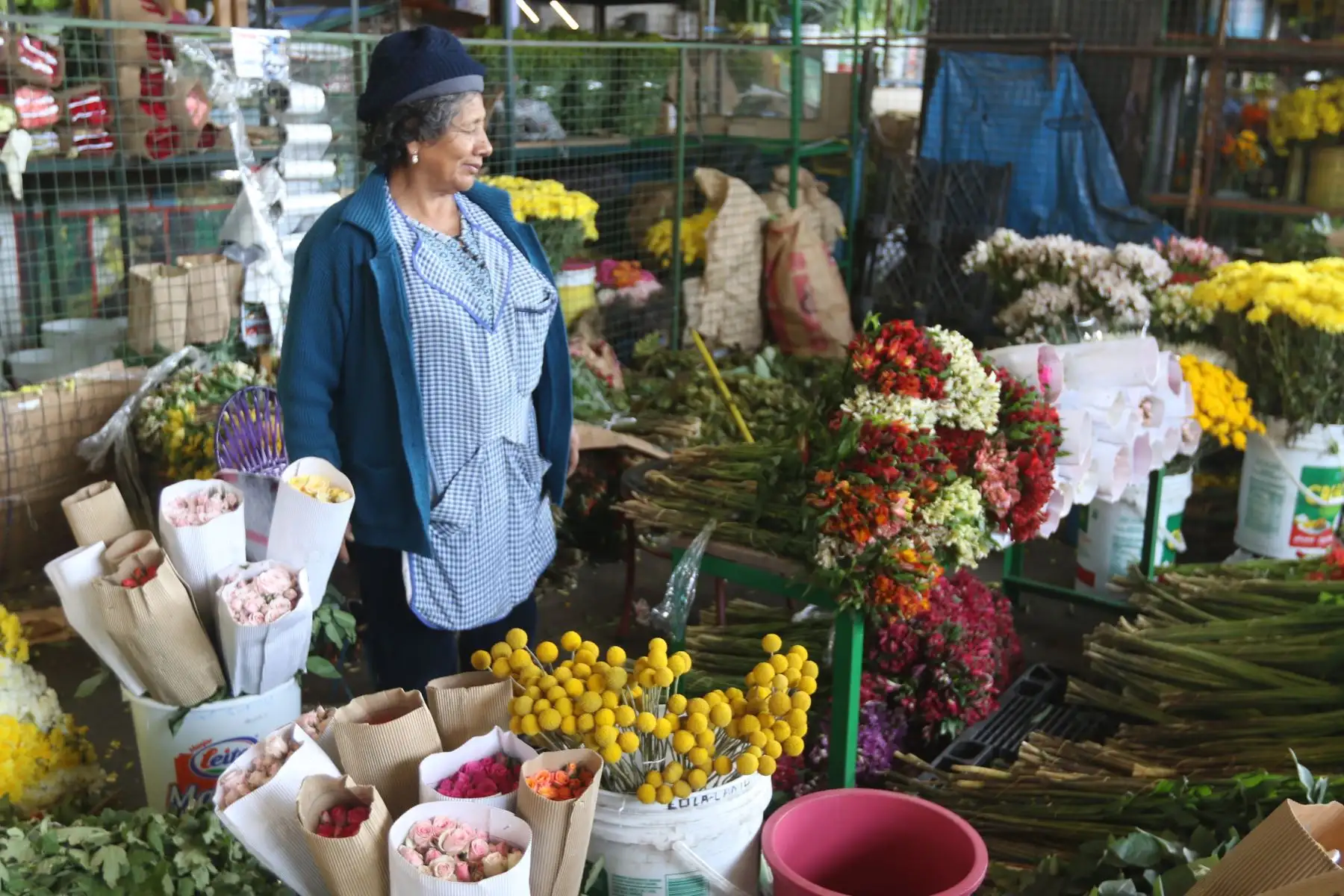 Si desea recibir el 2023 llamando a la buena suerte a la medianoche puede acercarse al mercado de flores Santa Rosa.
FOTO:ANDINA/Hector Vinces.