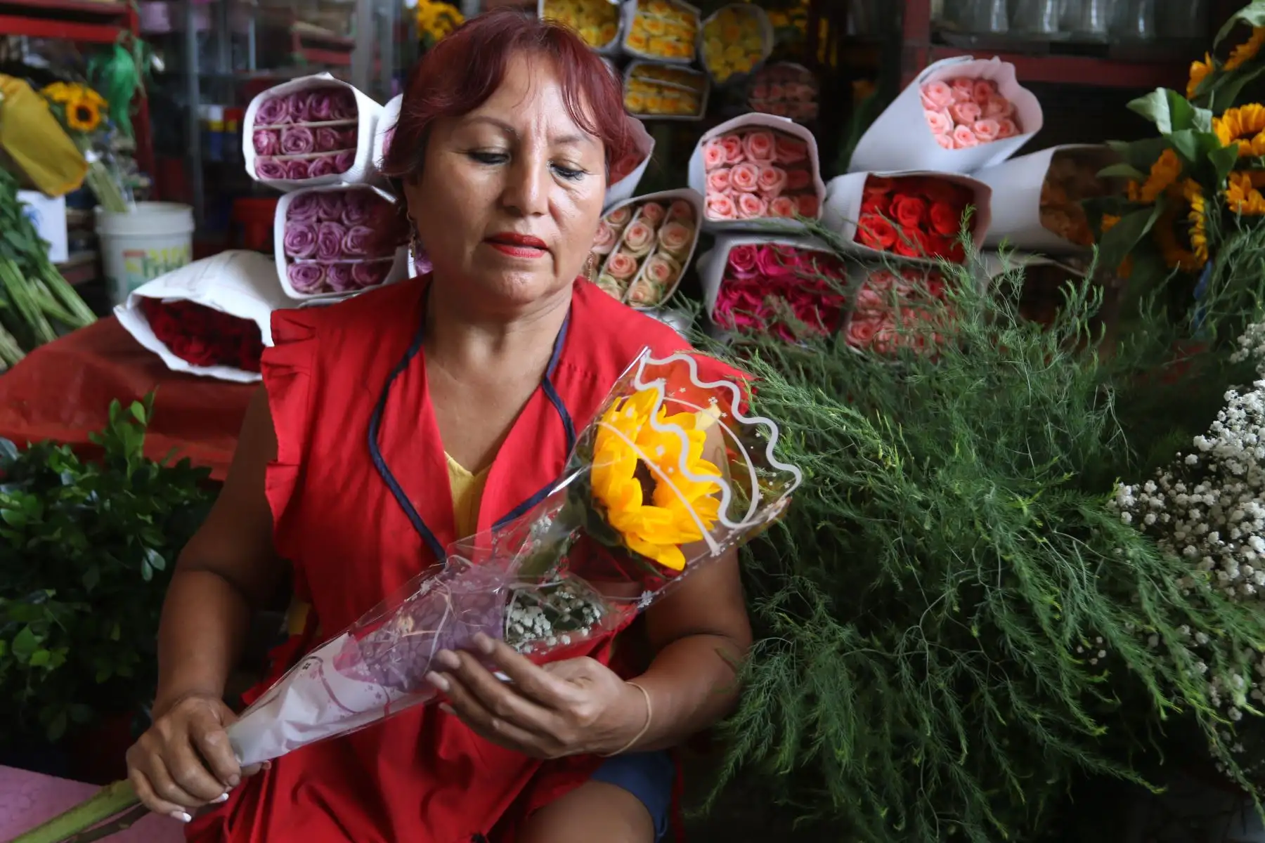 Flores diversas, todas amarillas, son las favoritas del público que acude a las ferias para adquirirlas a precios cómodos. El algunos lugares los precios empezaron a dispararse.
FOTO:ANDINA/Hector Vinces.