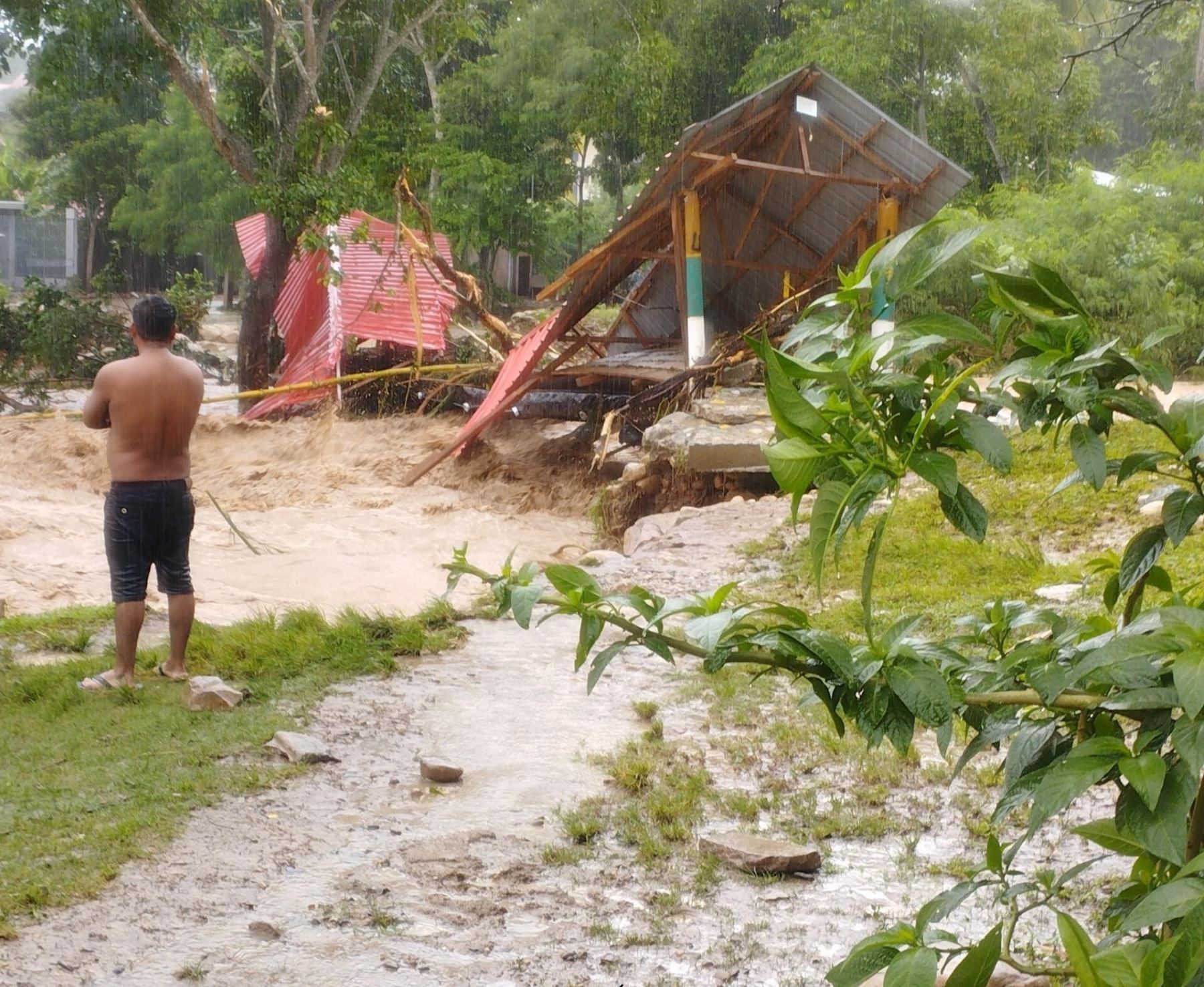 Cuantiosos daños en viviendas e infraestructura reporta el distrito de San José de Sisa, región San Martín, tras las lluvias intensas y desborde de la quebrada Pishuaya. ANDINA/Difusión