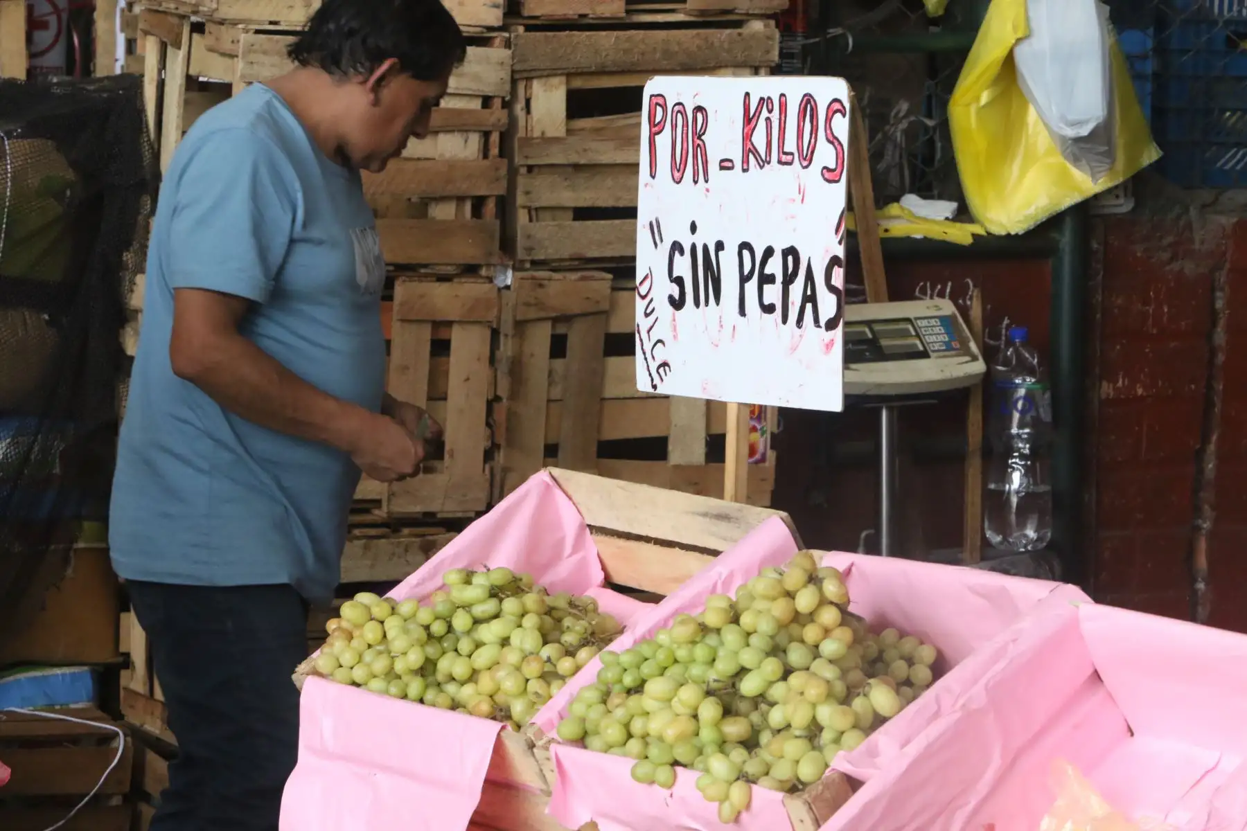 Estas frutas tienen mucha demanda en esta temporada, dado que el público las utiliza al parecer como ingrediente para ensaladas y decoración en la cena de celebración del Año Nuevo. FOTO:ANDINA/Hector Vinces.