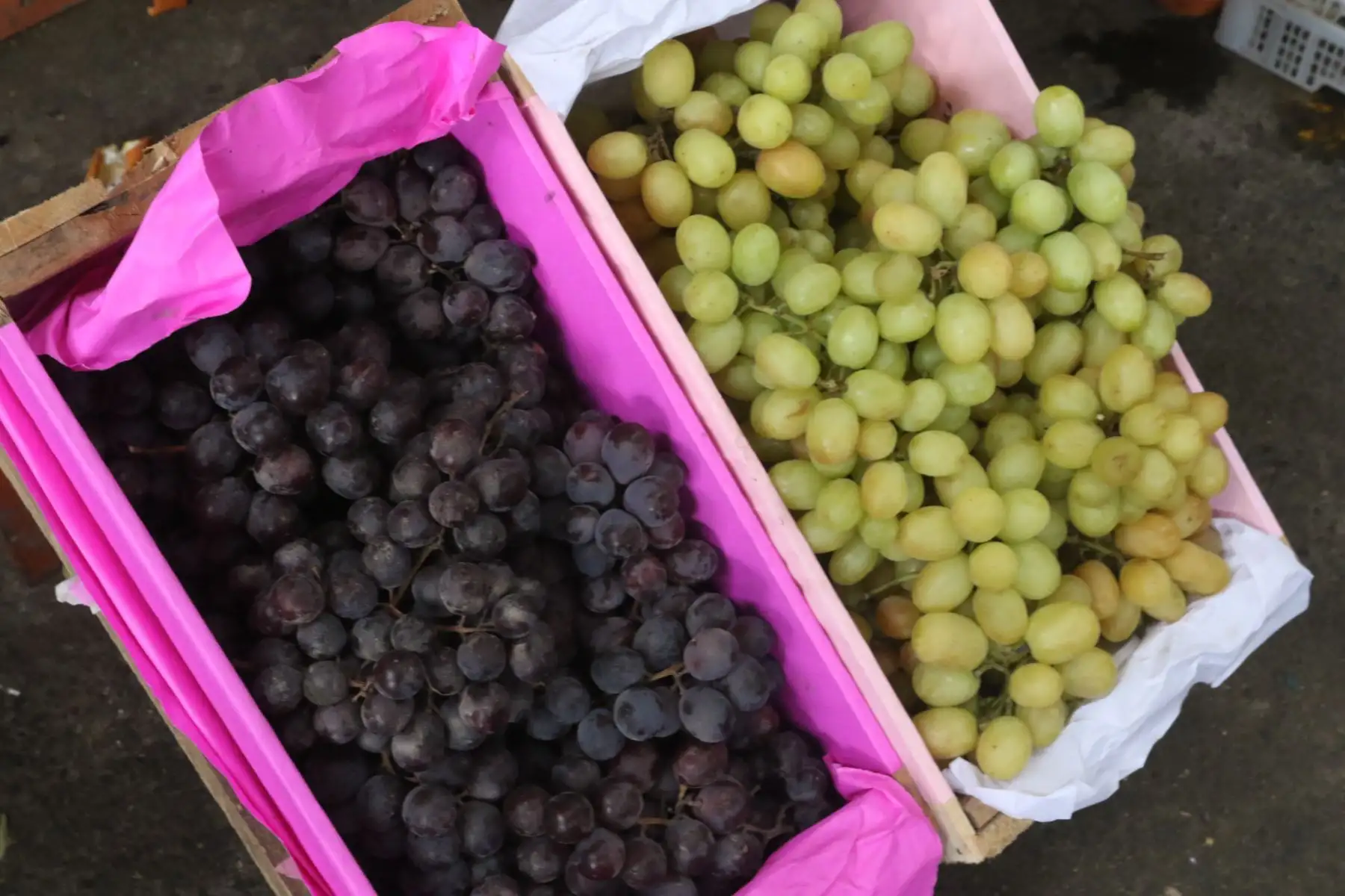 Estas frutas tienen mucha demanda en esta temporada, dado que el público las utiliza al parecer como ingrediente para ensaladas y decoración en la cena de celebración del Año Nuevo. FOTO:ANDINA/Hector Vinces.