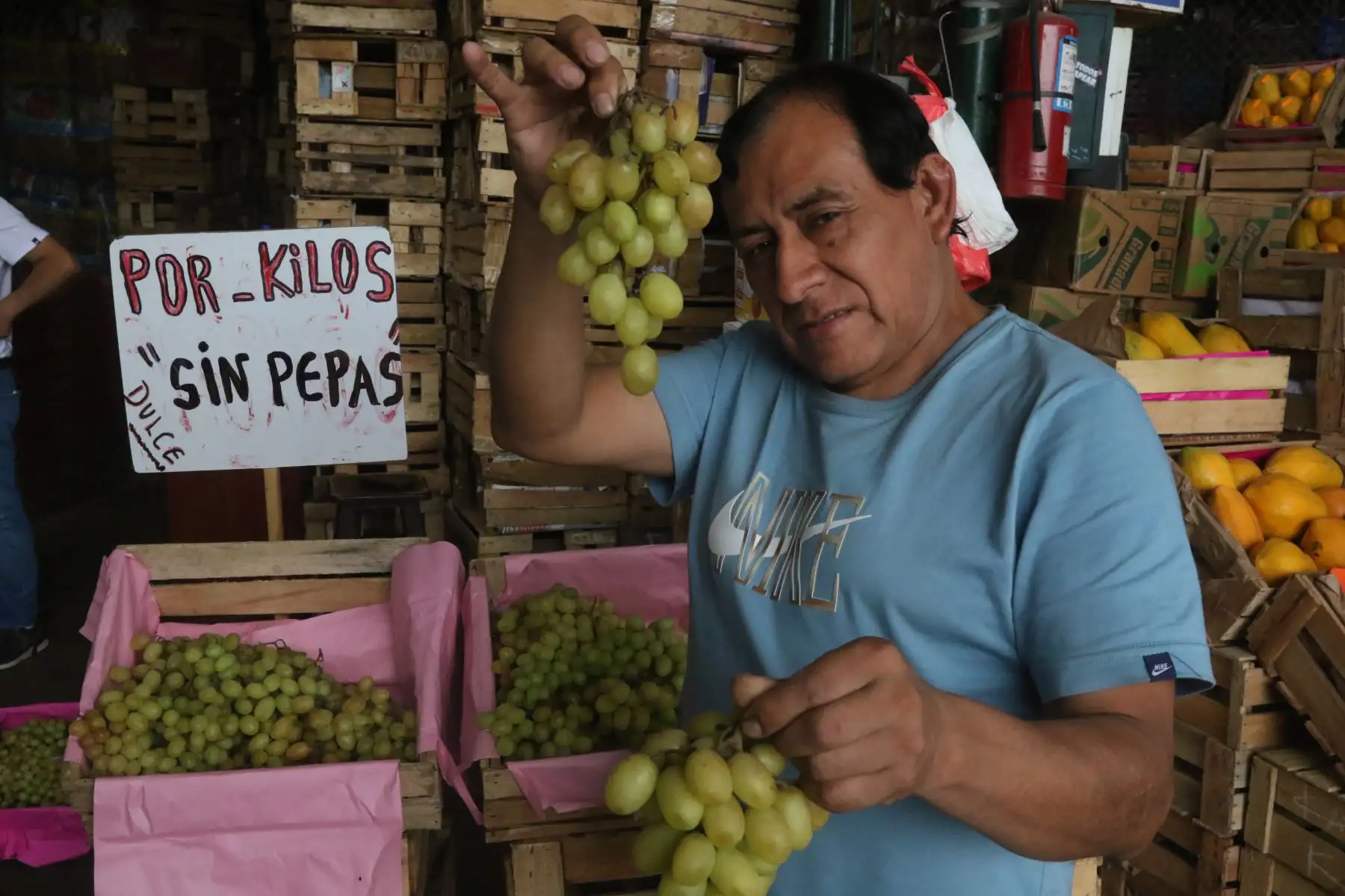 La demanda de numerosas personas que adquieren esta fruta es para cumplir su cábala de comer 12 unidades durante la cena de fin de año.
FOTO:ANDINA/Hector Vinces.
