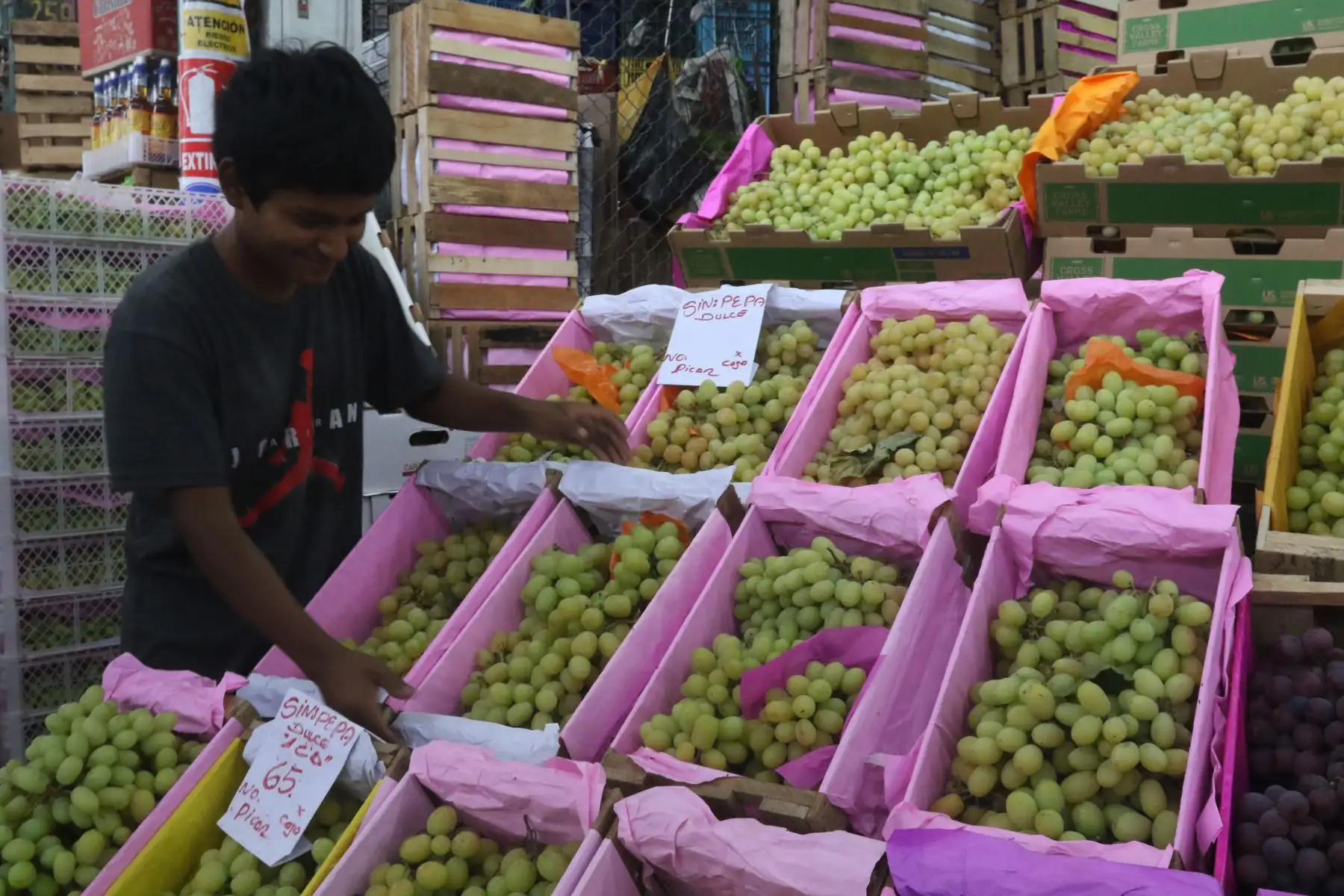 La demanda de numerosas personas que adquieren esta fruta es para cumplir su cábala de comer 12 unidades durante la cena de fin de año.
FOTO:ANDINA/Hector Vinces.