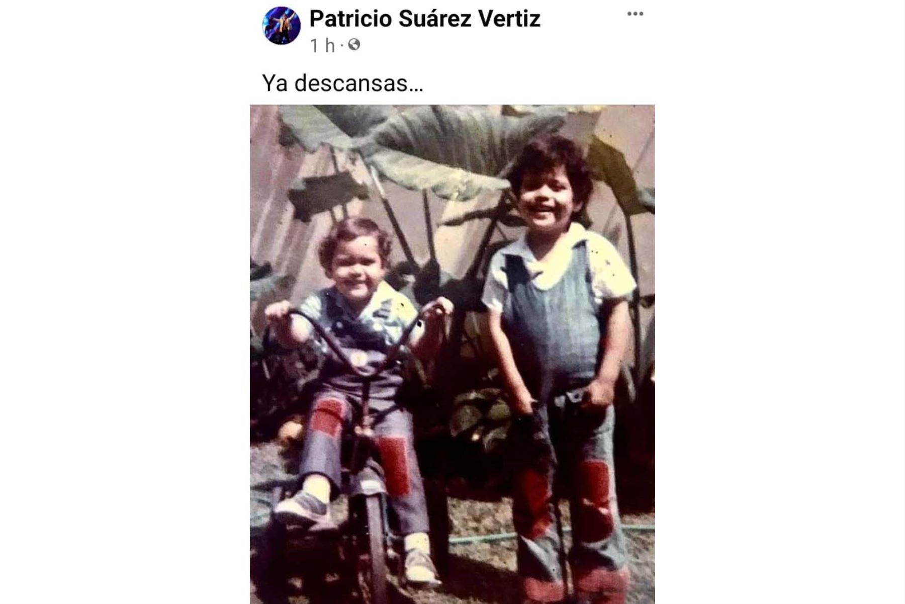 Patricio Suárez-Vértiz posteó fotografía junto a su hermano Pedro. Foto: Facebook