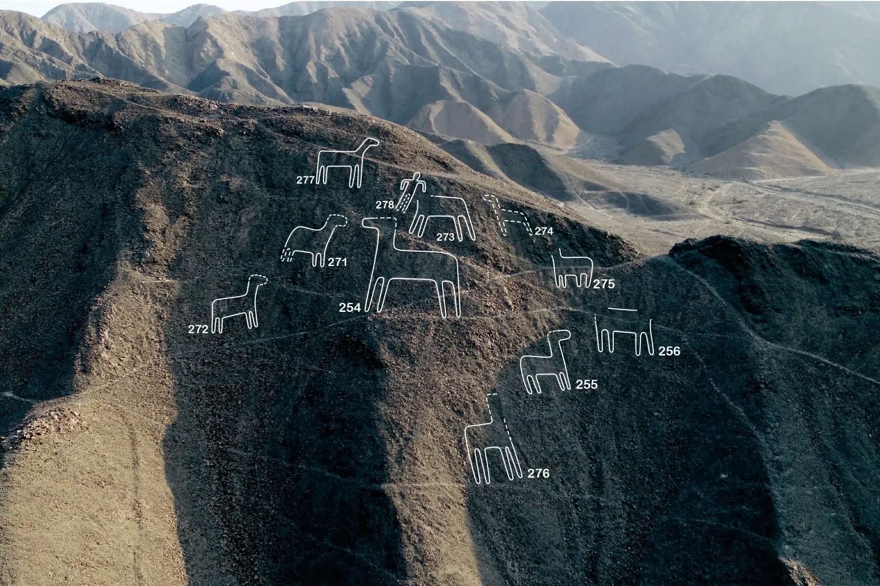 Se identificaron 168 nuevos geoglifos, los cuales datan de entre el año 100 a. C. y el 300 d. C, que corresponden a la transición de Nasca inicial a Nasca temprano y el hallazgo se logró luego de tomar fotografías aéreas de alta resolución. Los geoglifos hallados son de figuras humanas y de animales, como orcas, felinos, aves, camélidos y serpientes.
Foto: Universidad de Yamagata/Japón