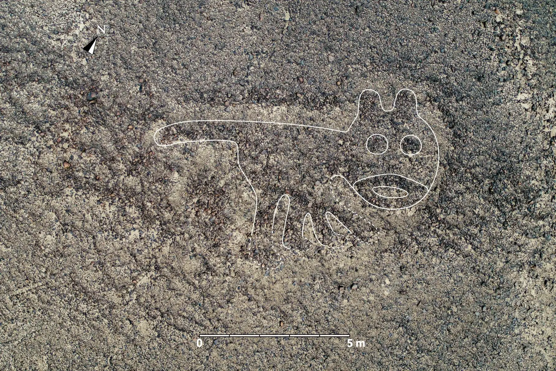 Se identificaron 168 nuevos geoglifos, los cuales datan de entre el año 100 a. C. y el 300 d. C, que corresponden a la transición de Nasca inicial a Nasca temprano y el hallazgo se logró luego de tomar fotografías aéreas de alta resolución. Los geoglifos hallados son de figuras humanas y de animales, como orcas, felinos, aves, camélidos y serpientes.
Foto: Universidad de Yamagata/Japón