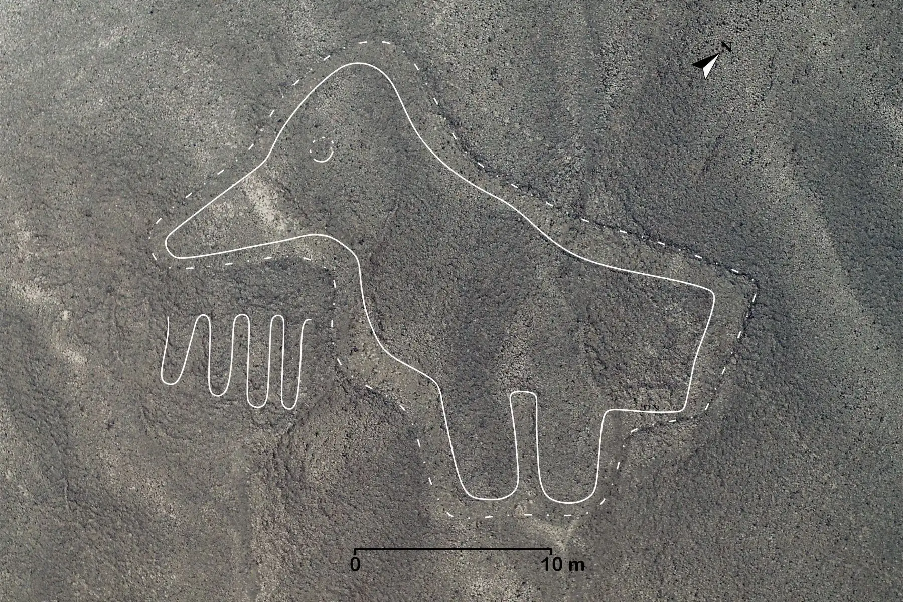 Se identificaron 168 nuevos geoglifos, los cuales datan de entre el año 100 a. C. y el 300 d. C, que corresponden a la transición de Nasca inicial a Nasca temprano y el hallazgo se logró luego de tomar fotografías aéreas de alta resolución. Los geoglifos hallados son de figuras humanas y de animales, como orcas, felinos, aves, camélidos y serpientes.
Foto: Universidad de Yamagata/Japón