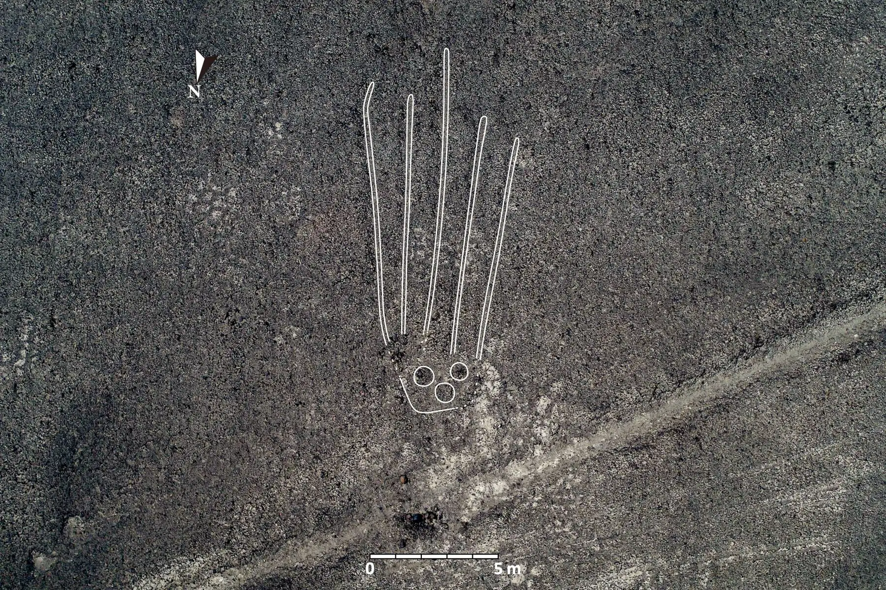 Se identificaron 168 nuevos geoglifos, los cuales datan de entre el año 100 a. C. y el 300 d. C, que corresponden a la transición de Nasca inicial a Nasca temprano y el hallazgo se logró luego de tomar fotografías aéreas de alta resolución. Los geoglifos hallados son de figuras humanas y de animales, como orcas, felinos, aves, camélidos y serpientes.
Foto: Universidad de Yamagata/Japón