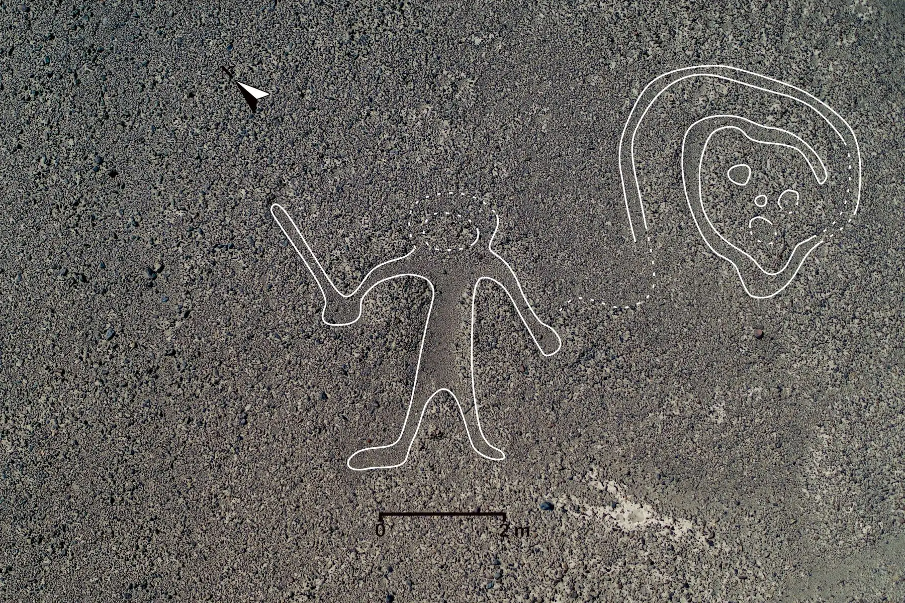 Se identificaron 168 nuevos geoglifos, los cuales datan de entre el año 100 a. C. y el 300 d. C, que corresponden a la transición de Nasca inicial a Nasca temprano y el hallazgo se logró luego de tomar fotografías aéreas de alta resolución. Los geoglifos hallados son de figuras humanas y de animales, como orcas, felinos, aves, camélidos y serpientes.
Foto: Universidad de Yamagata/Japón