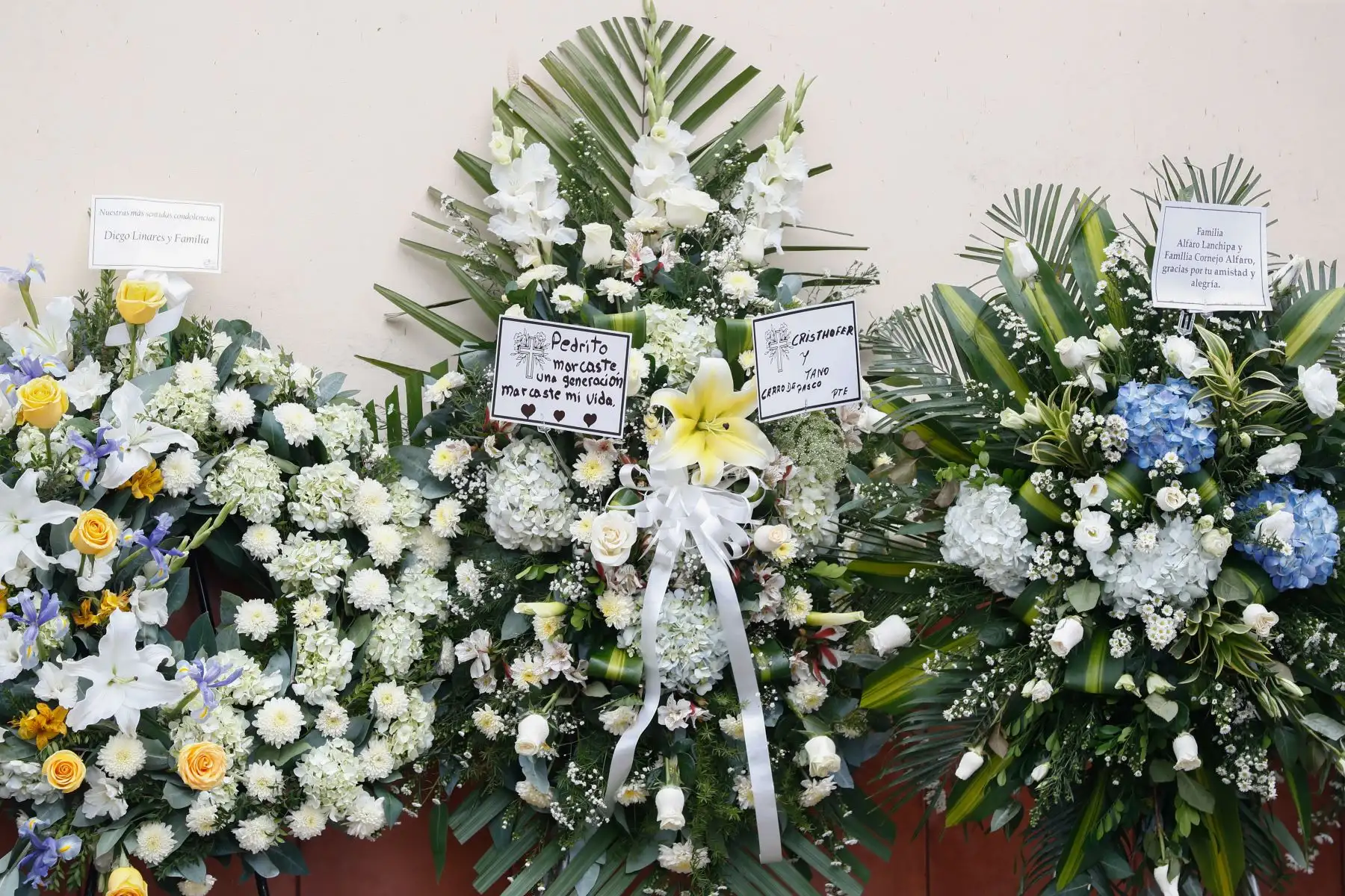 Los restos mortales de Pedro Suárez-Vértiz partieron esta mañana de su domicilio rumbo al velatorio en la iglesia Virgen de Fátima, en Miraflores, lugar al cual acuden familiares y amigos más cercanos. La cremación del artista se realizará el día de hoy, a las 16:30 horas en las instalaciones de Jardines de la Paz.
Foto: ANDINA/Daniel Bracamonte