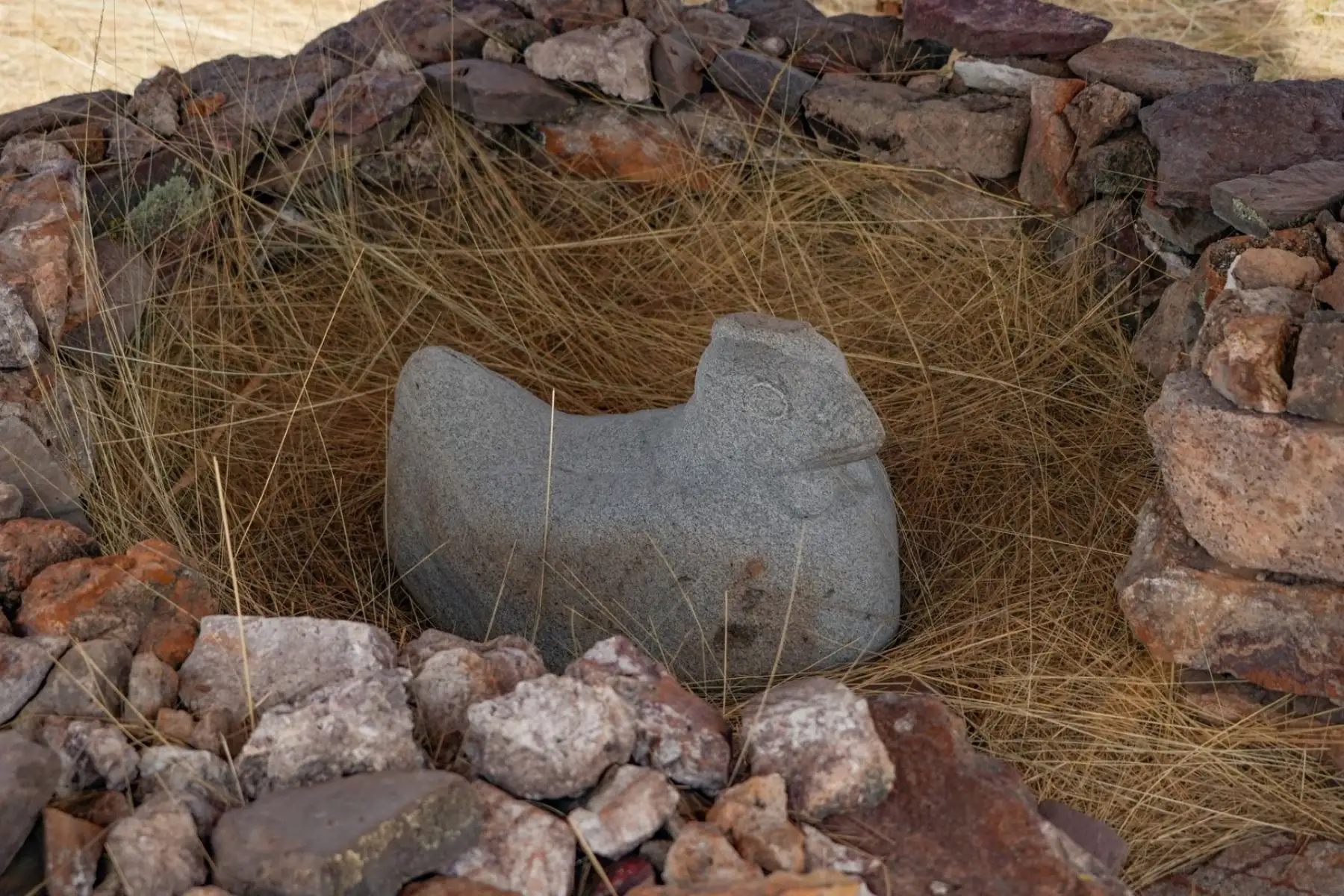 En Tandabamba prevalece un mito que se mantiene en la tradición oral, sobre la existencia de un ave de piedra “era como una ‘gallinita’ de piedra cuyos huevos al ser sustraídas y llevadas a otros lugares, misteriosamente retornaban, con el transcurrir de los años desapareció el ave y sus huevos”, relató el burgomaestre. En este espacio actualmente hay una réplica y es parte del atractivo en medio de centenares de chullpas.
Foto: Municipalidad Distrital de Checca