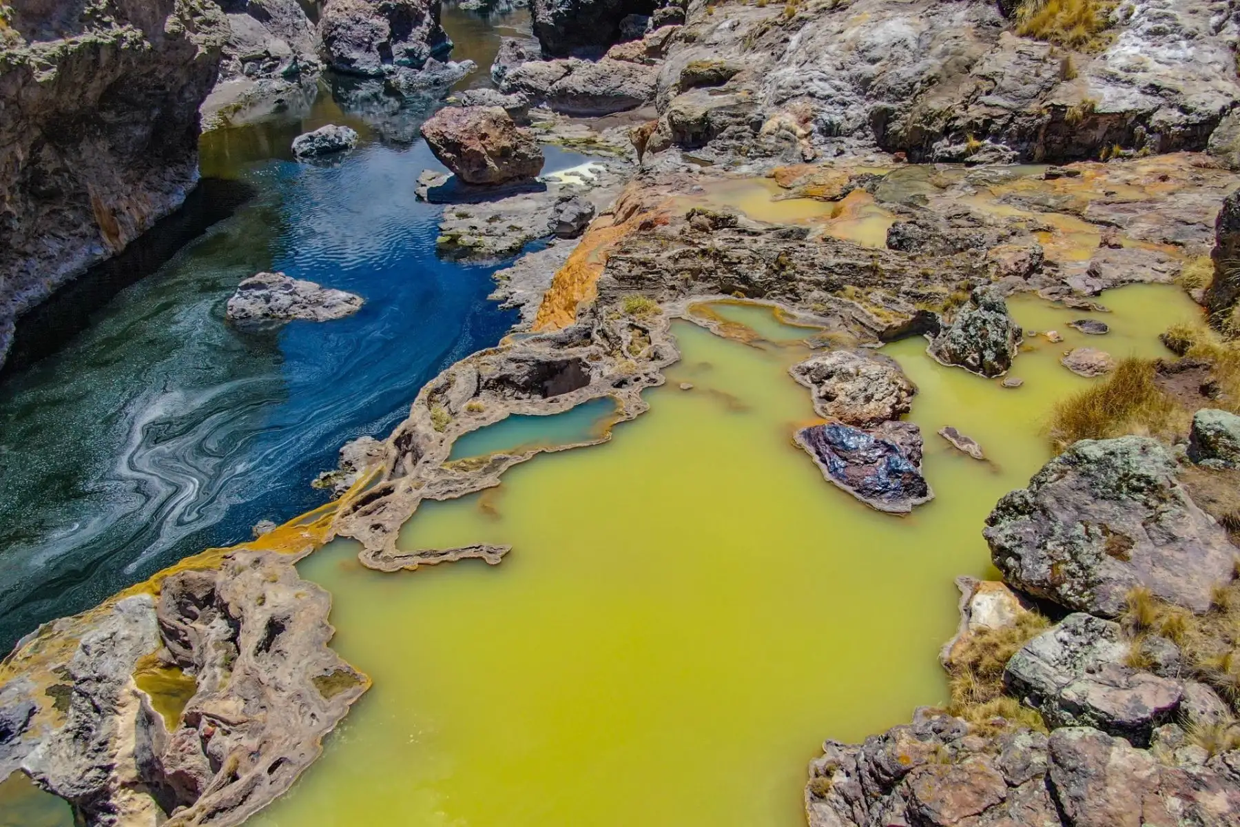 En estas mismas orillas también están las pozas conocidas como “Suero Qoccha”, por su parecido al suero de leche de los vacunos, Tinta Ayma, enseña que son fuentes de agua salada que merecen ser analizadas por su valor mineral y determinar si son medicinales; sin embargo, por su formación a través de miles de años son espejos que no son comunes en esta región.
Foto: Municipalidad Distrital de Checca