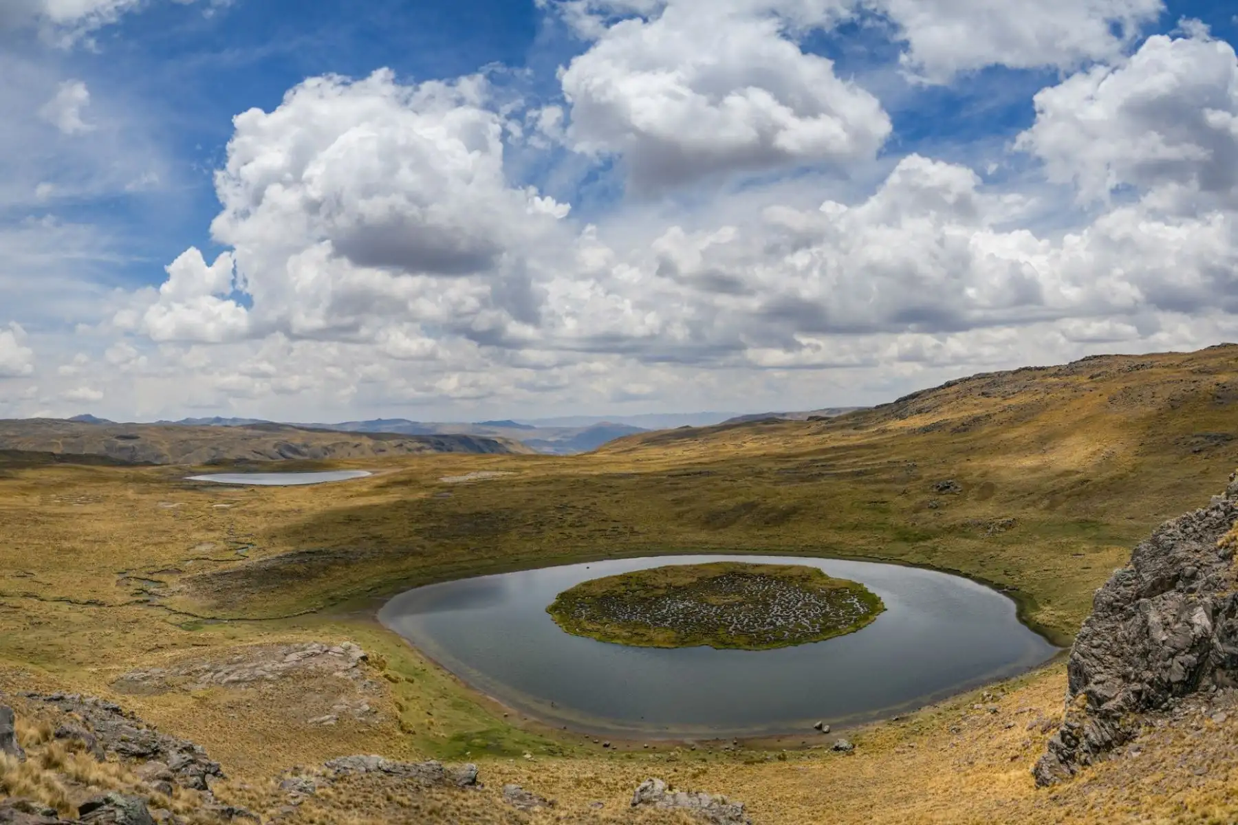 Por último, ofrecen la laguna de Huampuni, en el límite con el distrito de Livitaca, provincia de Chumbivilcas. Aquí la naturaleza formó una isla a la que, en el mes de agosto, inicio del año agrícola, los comuneros acceden con profunda fe para evocar a la pachamama y apus, lluvia y buena cosecha de productos agrícolas.
Foto: Municipalidad Distrital de Checca
