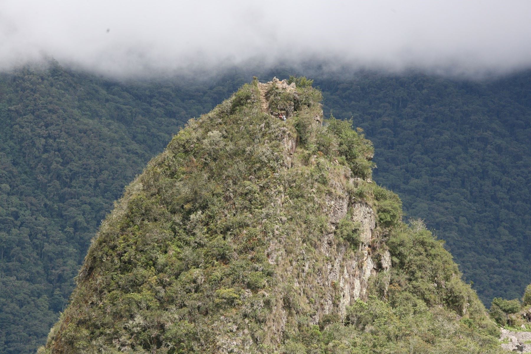Además de la monumental ciudadela inca el Santuario Histórico de Machu Picchu ofrece importantes atractivos naturales que puede visitar el turista. ANDINA/Difusión