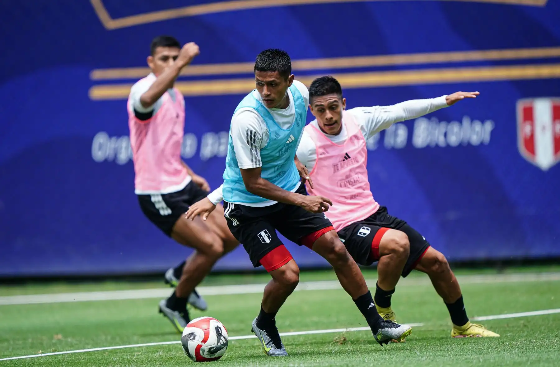 Entrenamiento de la selección peruana de fútbol Sub 23 en la Videna.
Foto:FPF