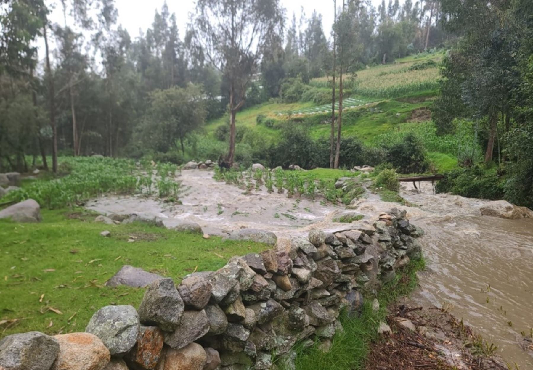 El desborde de los ríos Marcará y Toma Rumi, debido a intensas lluvias, provocó daños a una vivienda, cultivos agrícolas y a un puente peatonal en el distrito de Marcará, provincia de Carhuaz, región Áncash.