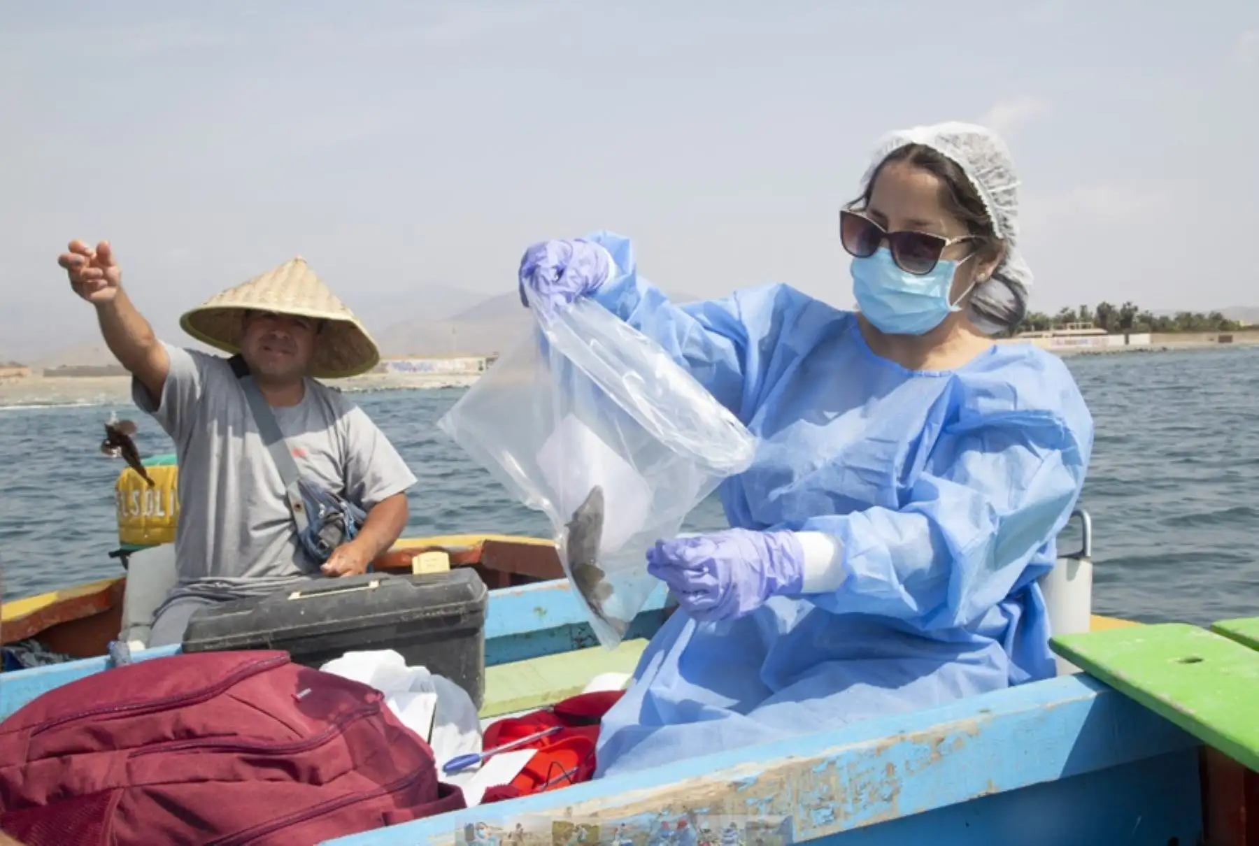 El Organismo Nacional de Sanidad Pesquera (Sanipes), entidad adscrita al Ministerio de la Producción, viene desarrollando toma de muestras de agua de mar, sedimentos y especies hidrobiológicas de consumo humano directo, en las zonas afectadas por el derrame de crudo de petróleo, ocurrido en enero del 2022.