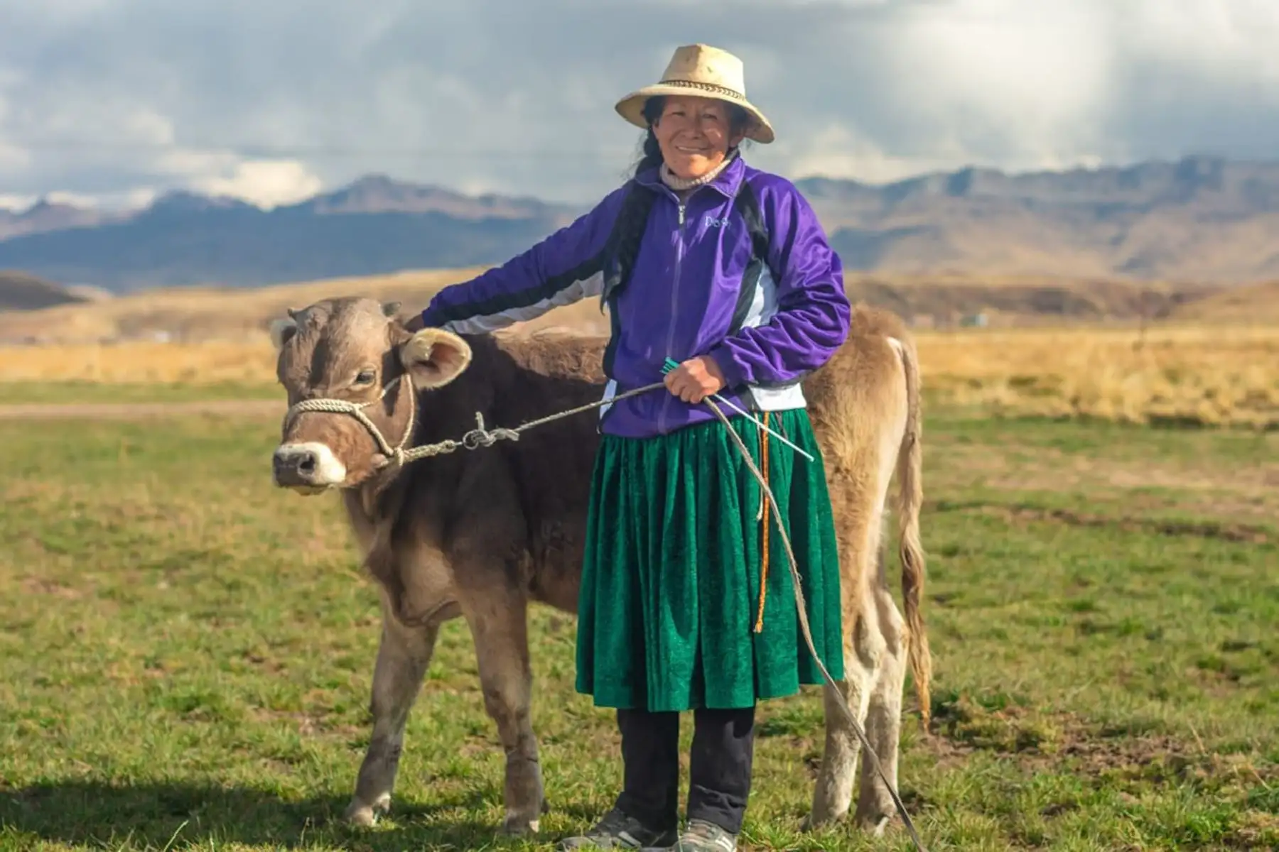 Agrobanco entregó más de S/ 900 millones en créditos a pequeños productores agropecuarios. ANDINA/Agrobanco