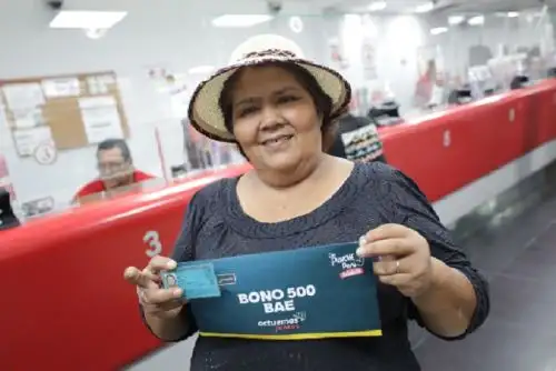 Los documentos aptos deberán ser presentados en un plazo máximo de 20 días hábiles en el caso de Ica y 30 días para Huancavelica.