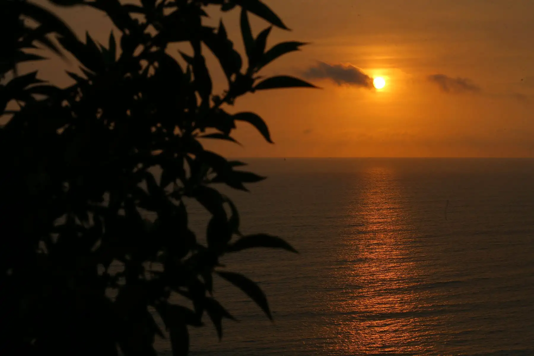 Limeños disfrutan del ultimo " sunset " del año 2023 , en el parque Raimondi en el malecón de Miraflores que da al océano Pacífico.
Foto: ANDINA/Eddy Ramos