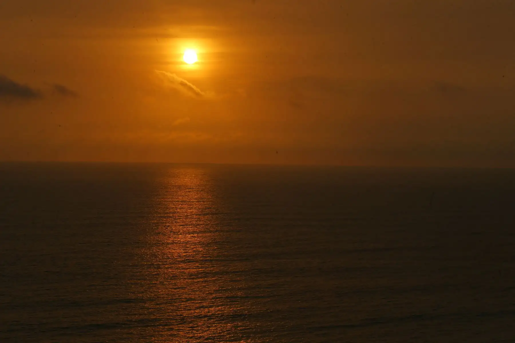 Limeños disfrutan del ultimo " sunset " del año 2023 , en el parque Raimondi en el malecón de Miraflores que da al océano Pacífico.
Foto: ANDINA/Eddy Ramos
