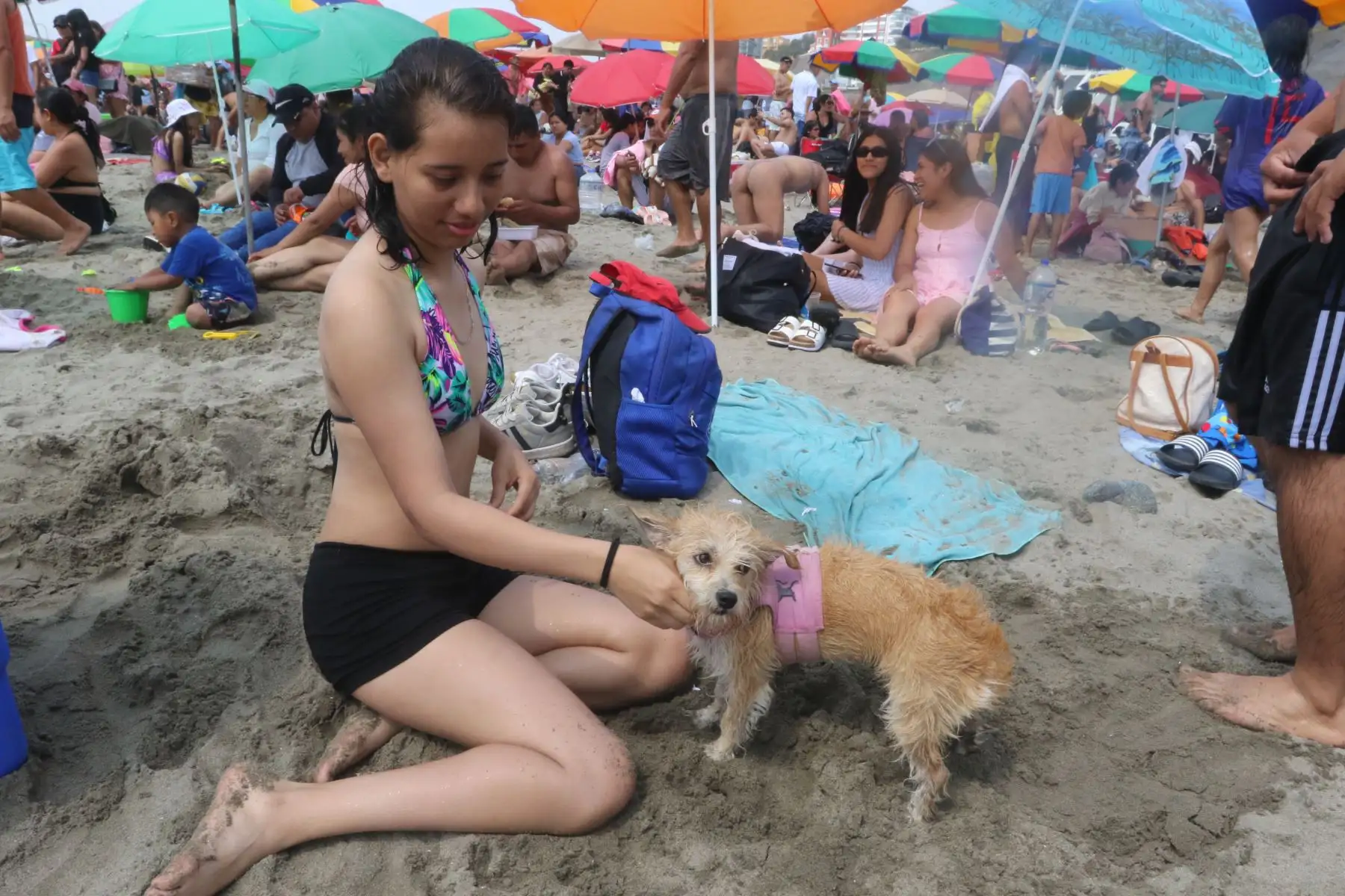 Veraneantes acuden en forma masiva a las playas de la Costa Verde de Lima.FOTO:ANDINA/Hector Vinces.
