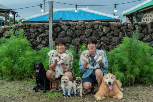 Estrellas coreanas llegan al Perú con "Mis cachorros adorables".