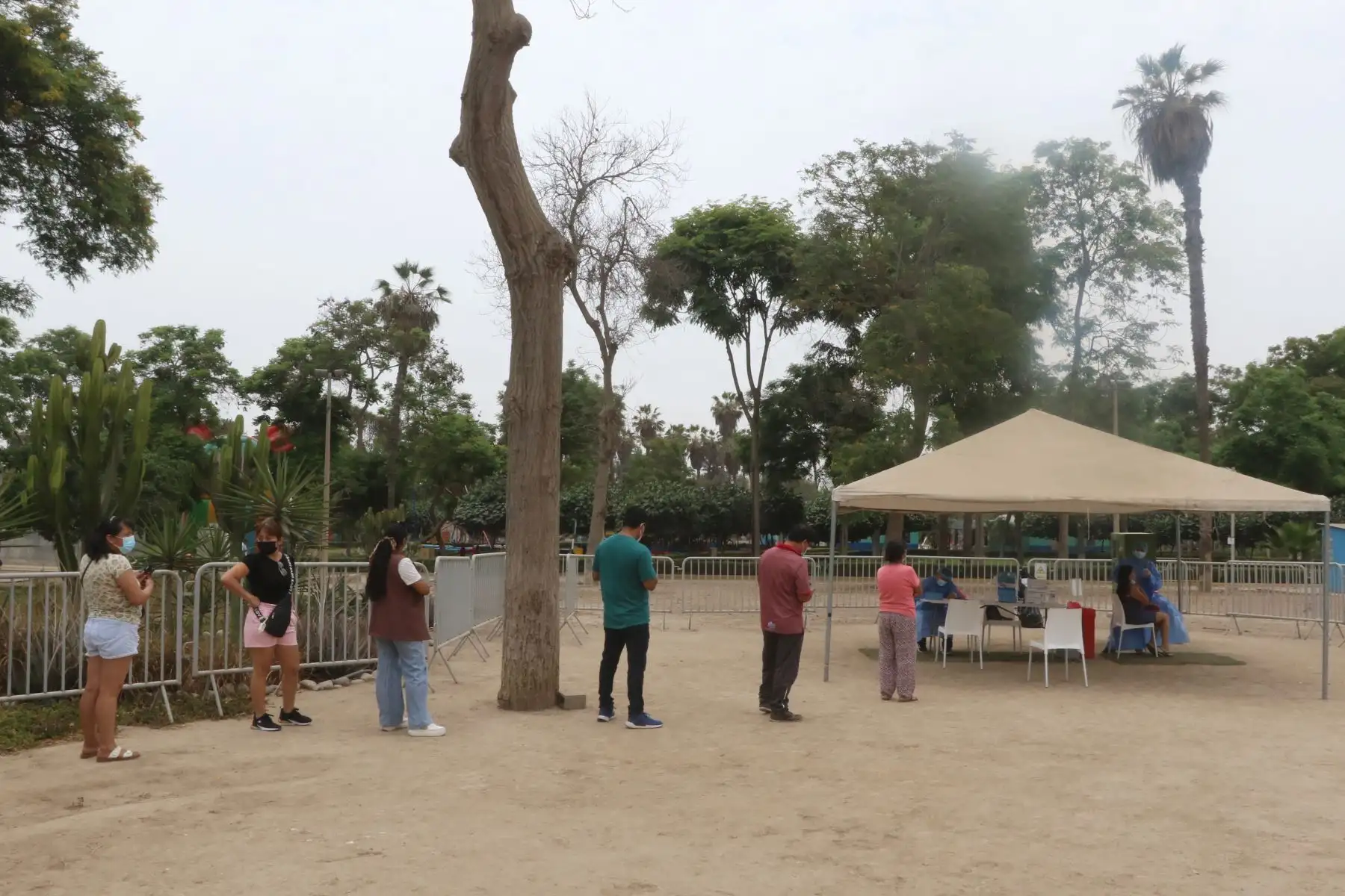 Ciudadanos asisten a los Centros de vacunación y diagnóstico que ha instalado el Minsa para descartar contagios y vacunar contra la enfermedad. En la imagen, prueba molecular (hisopado) en el parque Sinchi Roca, de Comas.
Foto: ANDINA/ Héctor Vinces