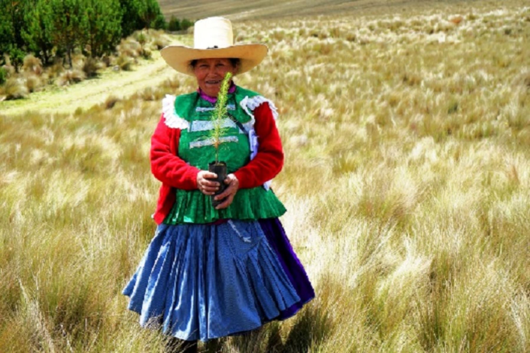 También fueron reconocidas las regiones de San Martín y Piura, porque  junto con Cajamarca trabajan una agenda regional.