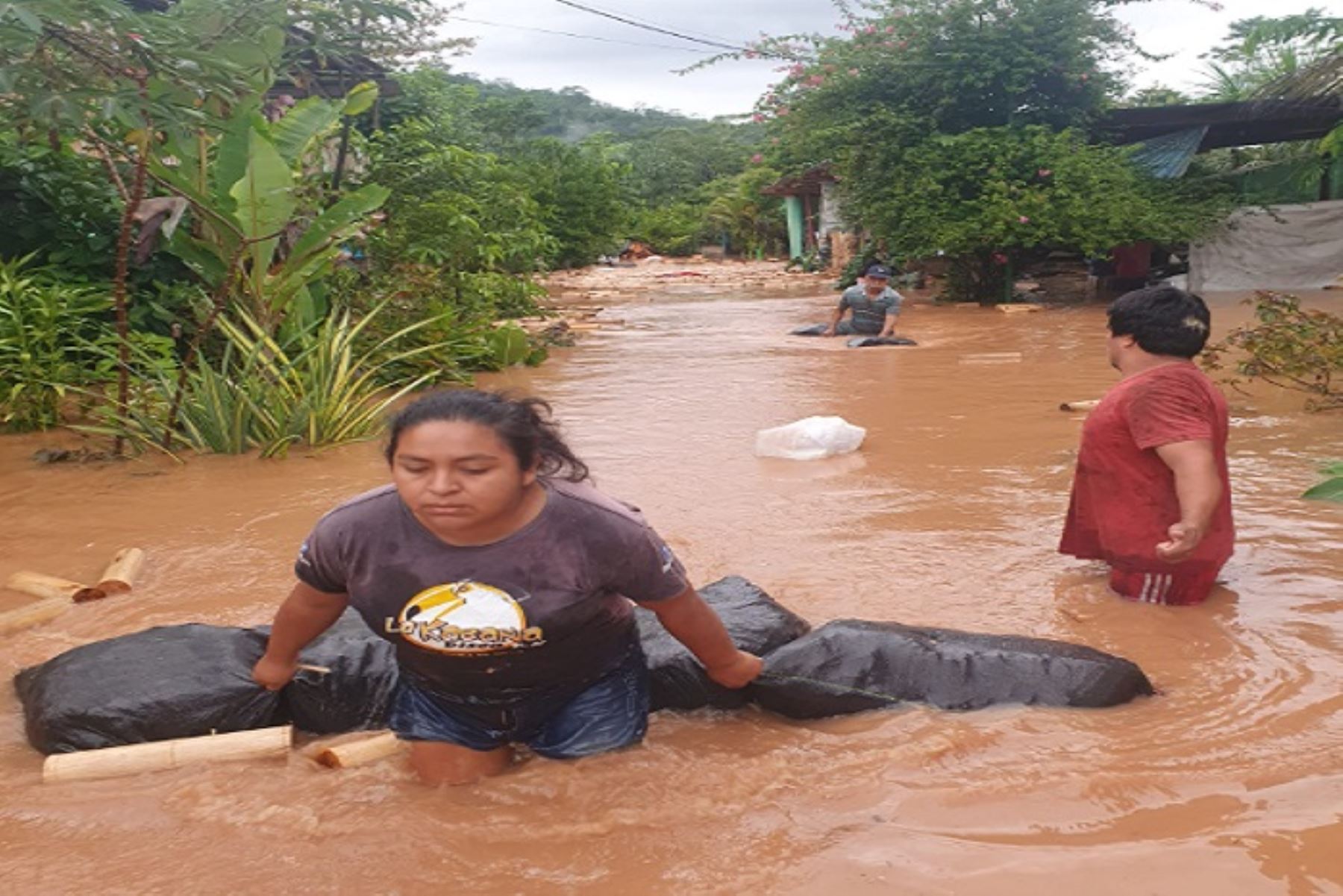 Las autoridades locales solicitan el suministro inmediato de víveres para las familias afectadas por la inundación.